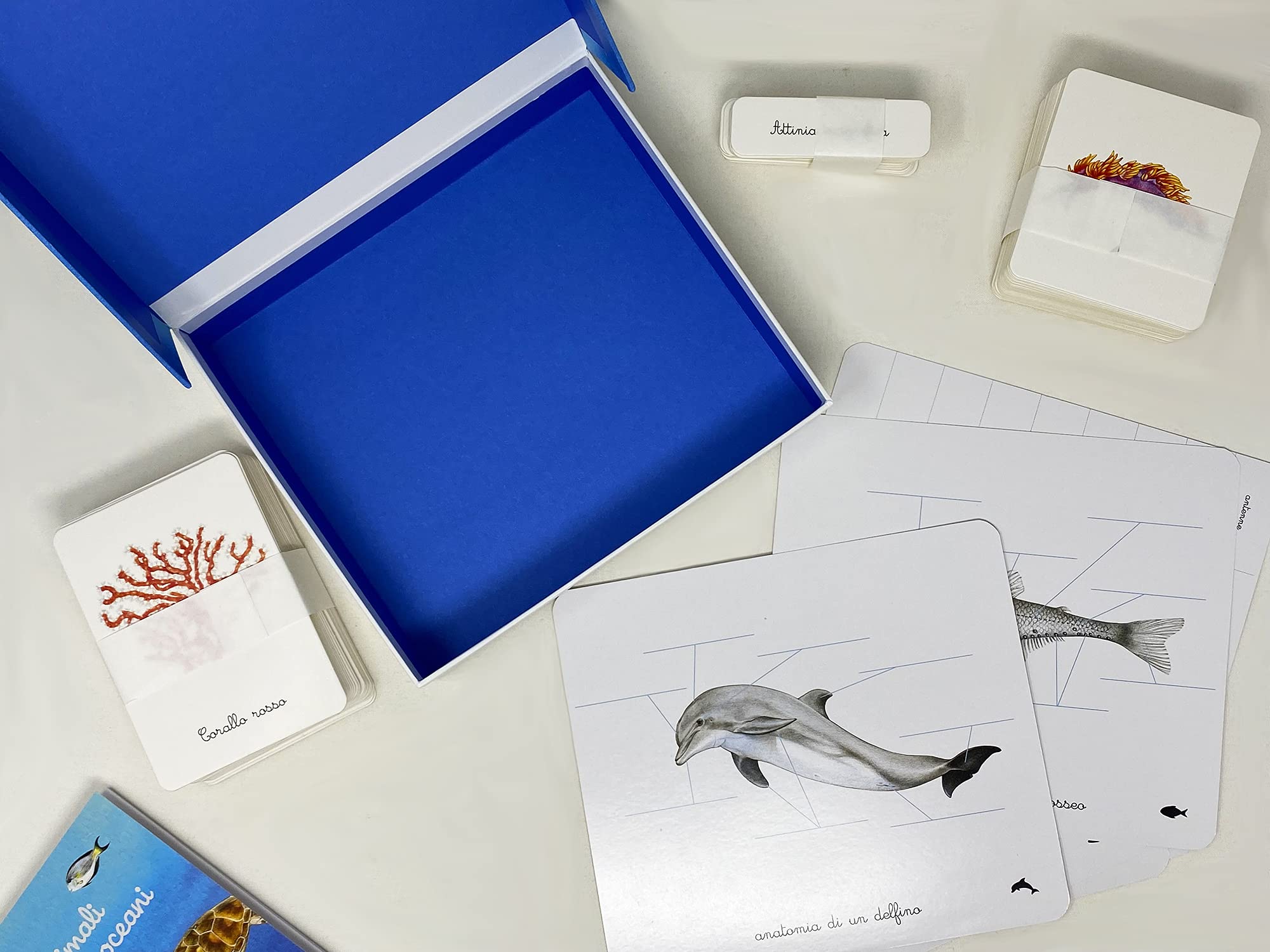 Il mio cofanetto Montessori degli oceani. Ediz. a colori. Con 90 carte degli animali. Con 5 carte degli strati dell’oceano. Con 43 etichette. Con 5 tavole anatomiche