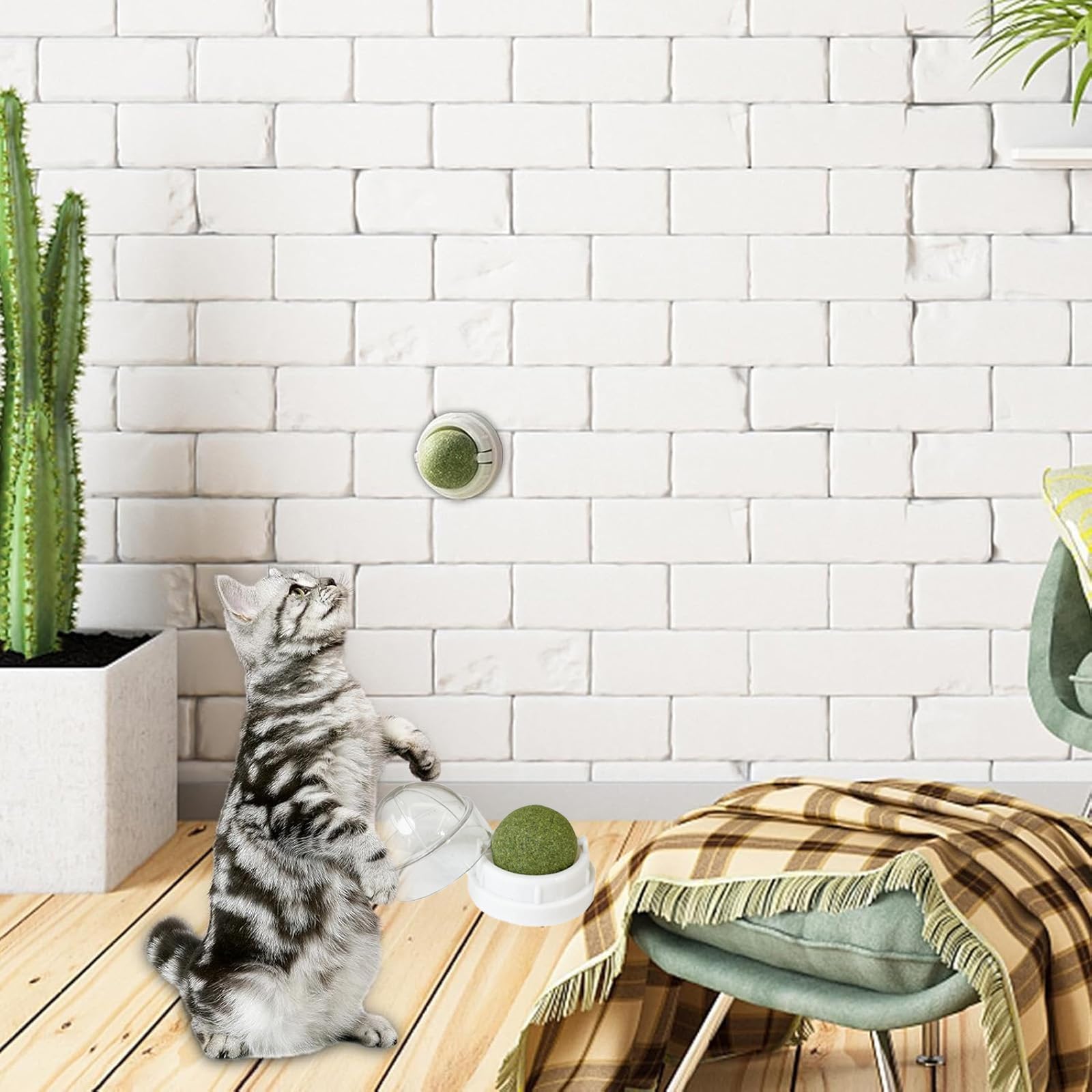 4 Palline Da Parete Con Catnip Per Gatti – Giocattoli Interattivi Snack Leccabili Per Pulizia, Esercizio E Graffio, Casa E Viaggio