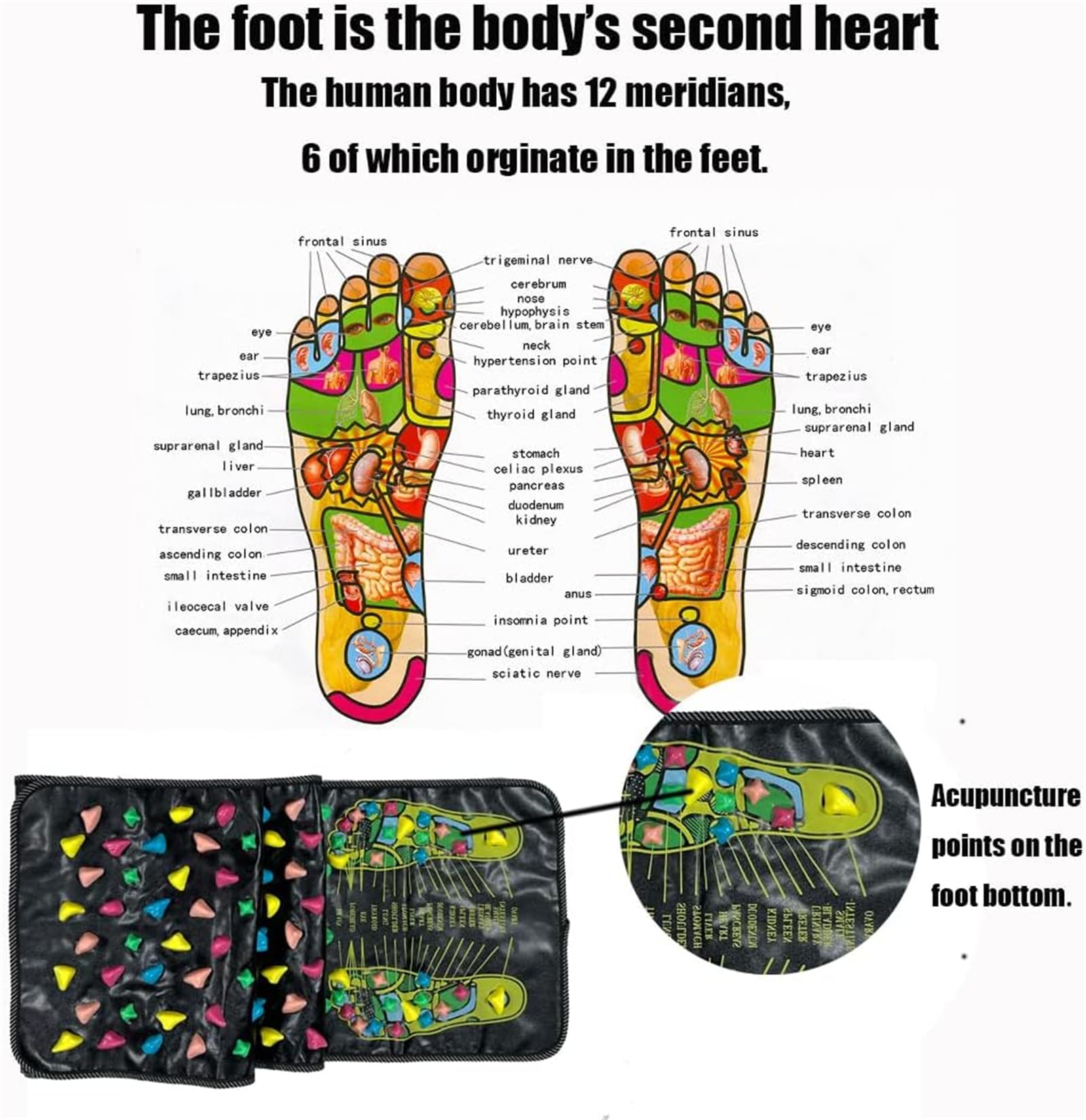 Shumeijian Tapis de massage des pieds, tapis de massage pour la marche, tapis de massage d'acupression des pieds, pour les personnes âgées assises, les étudiants et les employés de bureau (2)