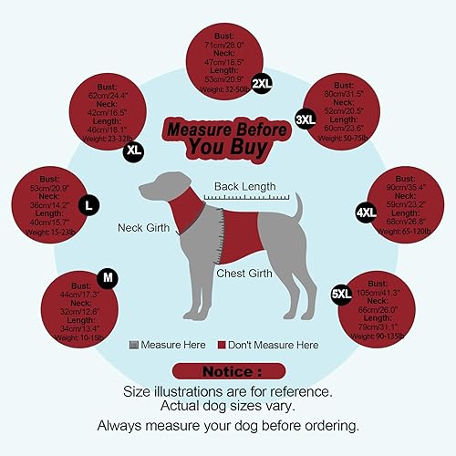 Miniatura 7 de OUOBOB Suéter para perro, suéteres para perros pequeños para perros, niñas y niños, suéter de cuello alto verde para cachorros, trajes de perro de