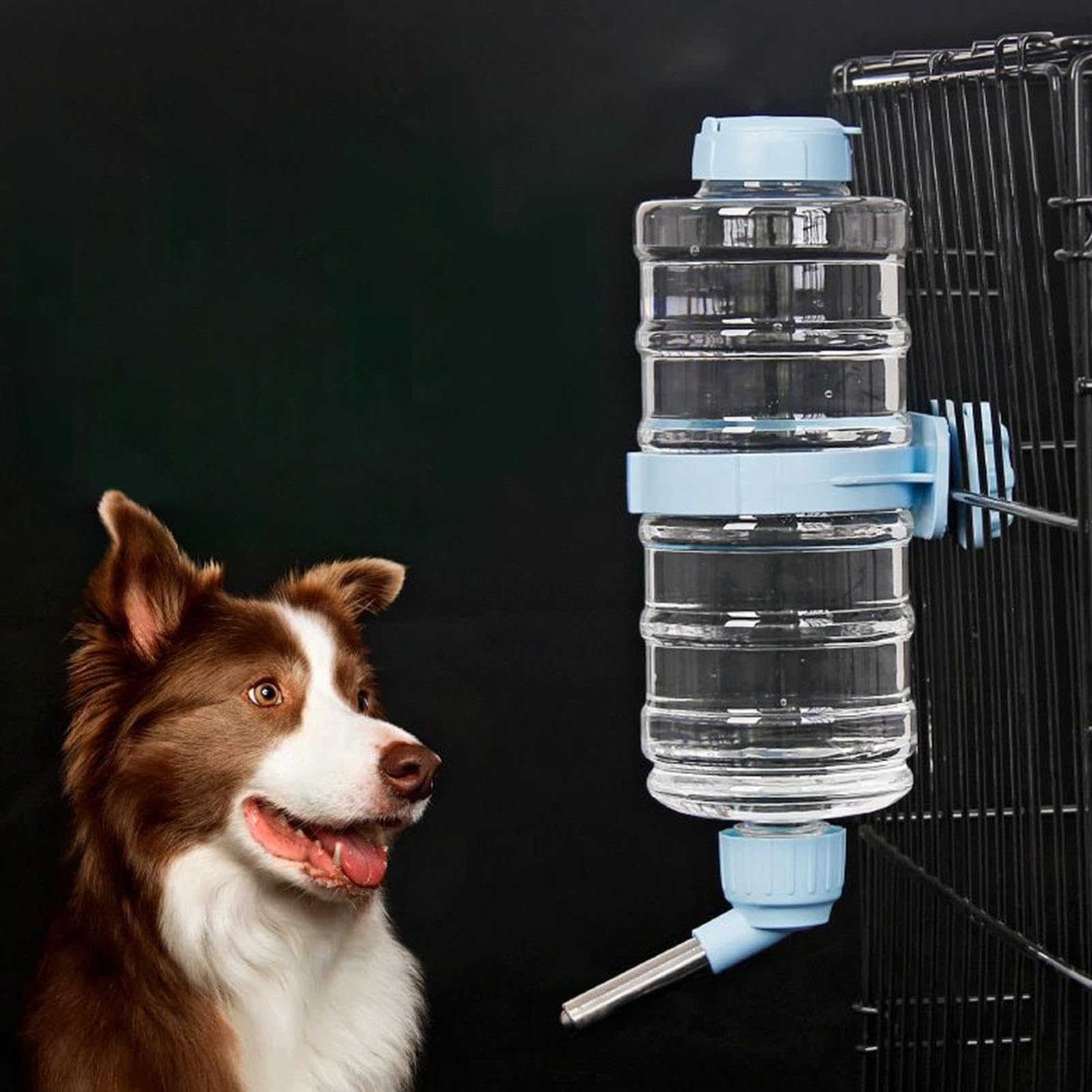 Botella de agua para hámster de 946 ml, antigoteo y extraíble, apta para conejos, chinchillas, erizos, hurones, pájaros y recintos interiores