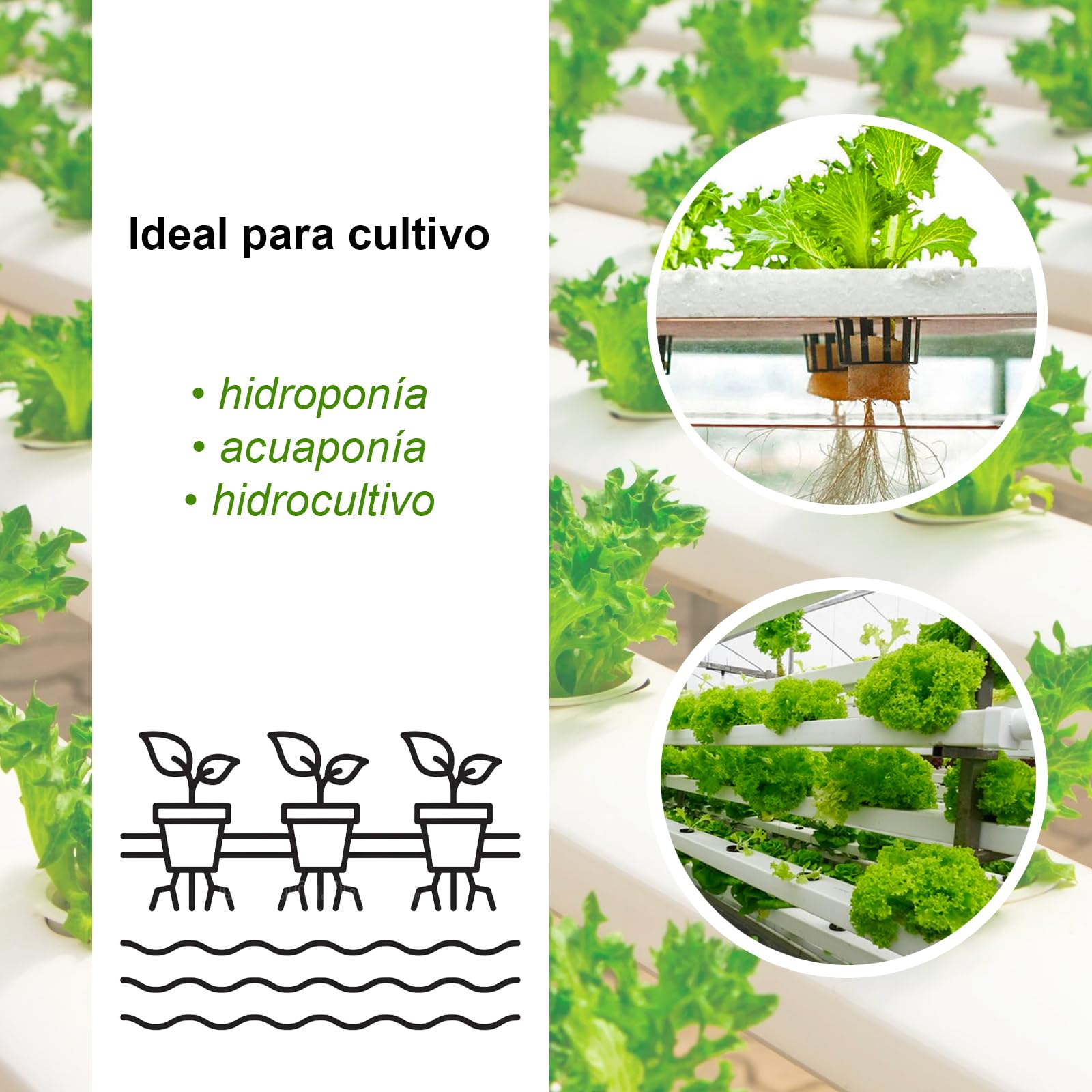 Kalapanta -IDROPON P-MAX abono plantas específico para hidrocultivo y hidroponica estimula el rápido crecimiento natural de las raíces, abono granulado, Envase individual, 1 unidad