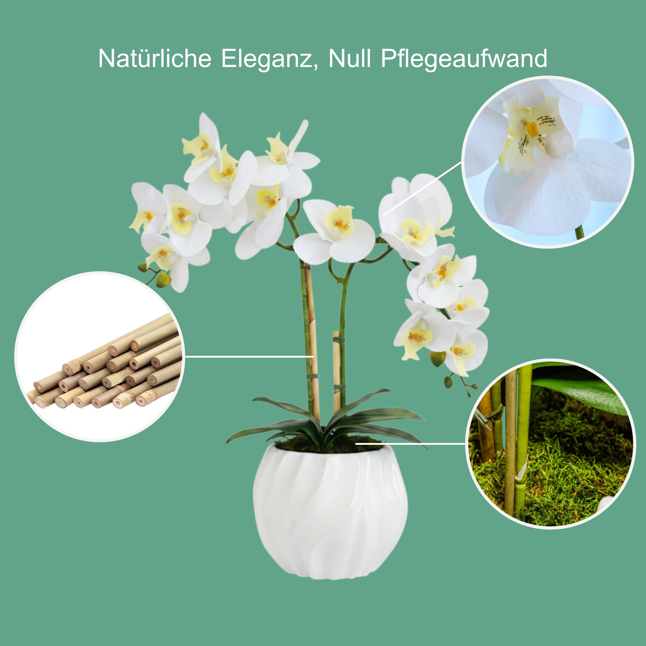 Amazon.de: BelaLusa Knstliche Orchideen wie echt 50 cm  Handgefertigte  Phalaenopsis im Keramik-Topf, pflegefrei & ohne Gieen  Elegante  Kunstblumen Deko fr Wohnzimmer, Bro, Fensterbank & Bad (Wei)