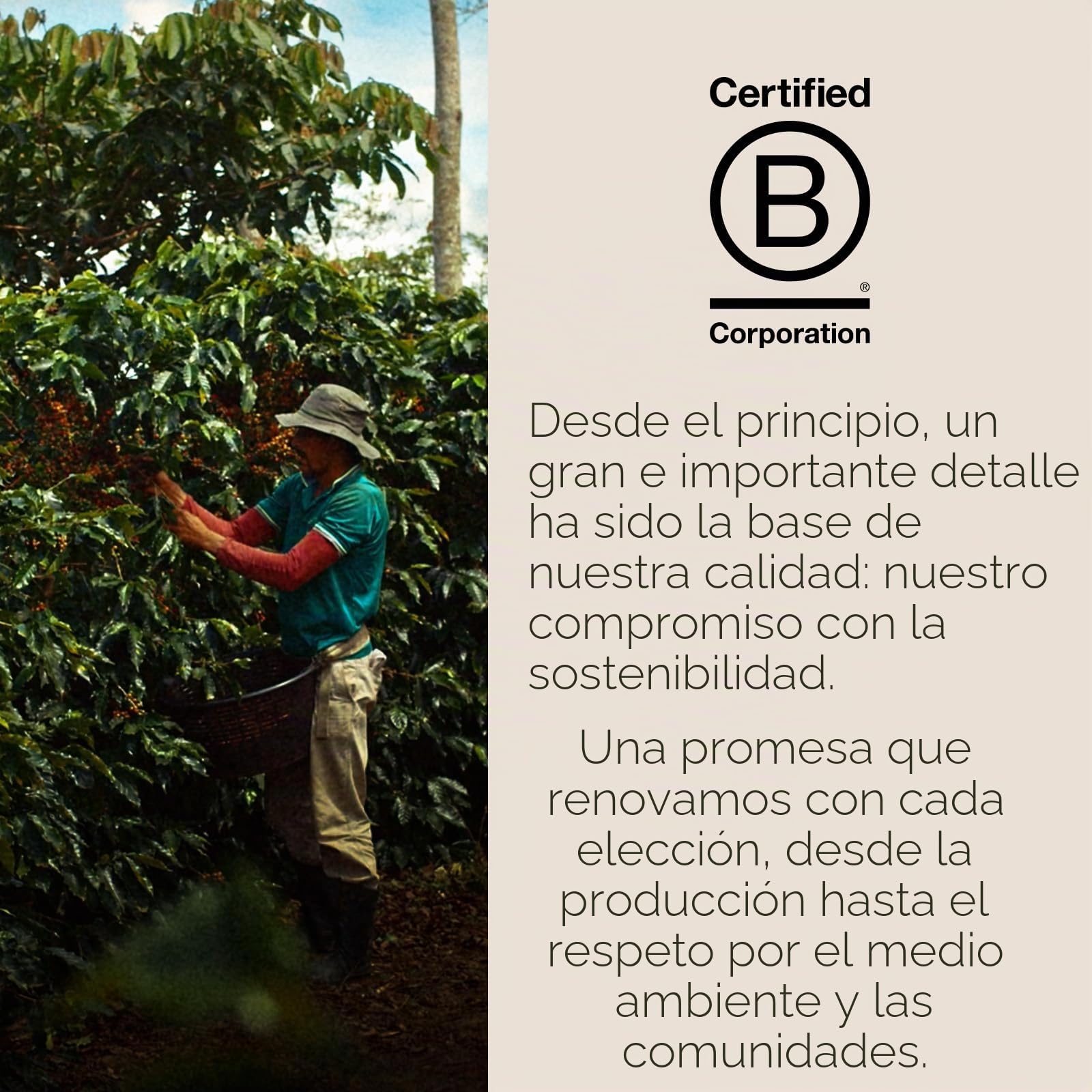 illy Coffee, Classico - Cápsulas de café expreso, tostado medio, 100% café arábica, paquete de 6 x 18 cápsulas
