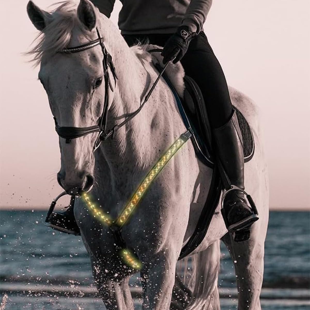 Collier de Plastron de Cheval à LED,Réglable Harnais de Cheval,Chevaux Ceinture de Cou Équipement de Sécurité Équestre,Visibilité et Sécurité Accrues pour L'équitation de Nuit