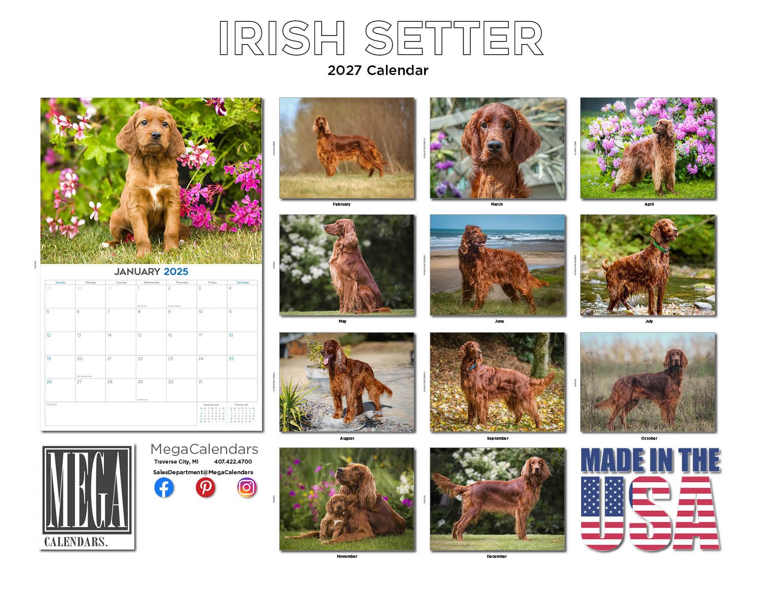 Calendrier mural mensuel 2025/2026 Setter irlandais – 30,5 x 45,7 cm ouvert – Papier épais sans bavure – Cadeau – Calendrier de planification et planification des enseignants – Fabriqué aux États-Unis