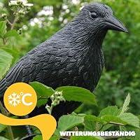 KADAX Fekete Holló Madárijesztő - Műanyag Galamb és Kismadár Riasztó, Természetes Kártevő Védelem Kertbe, Erkélyre 7