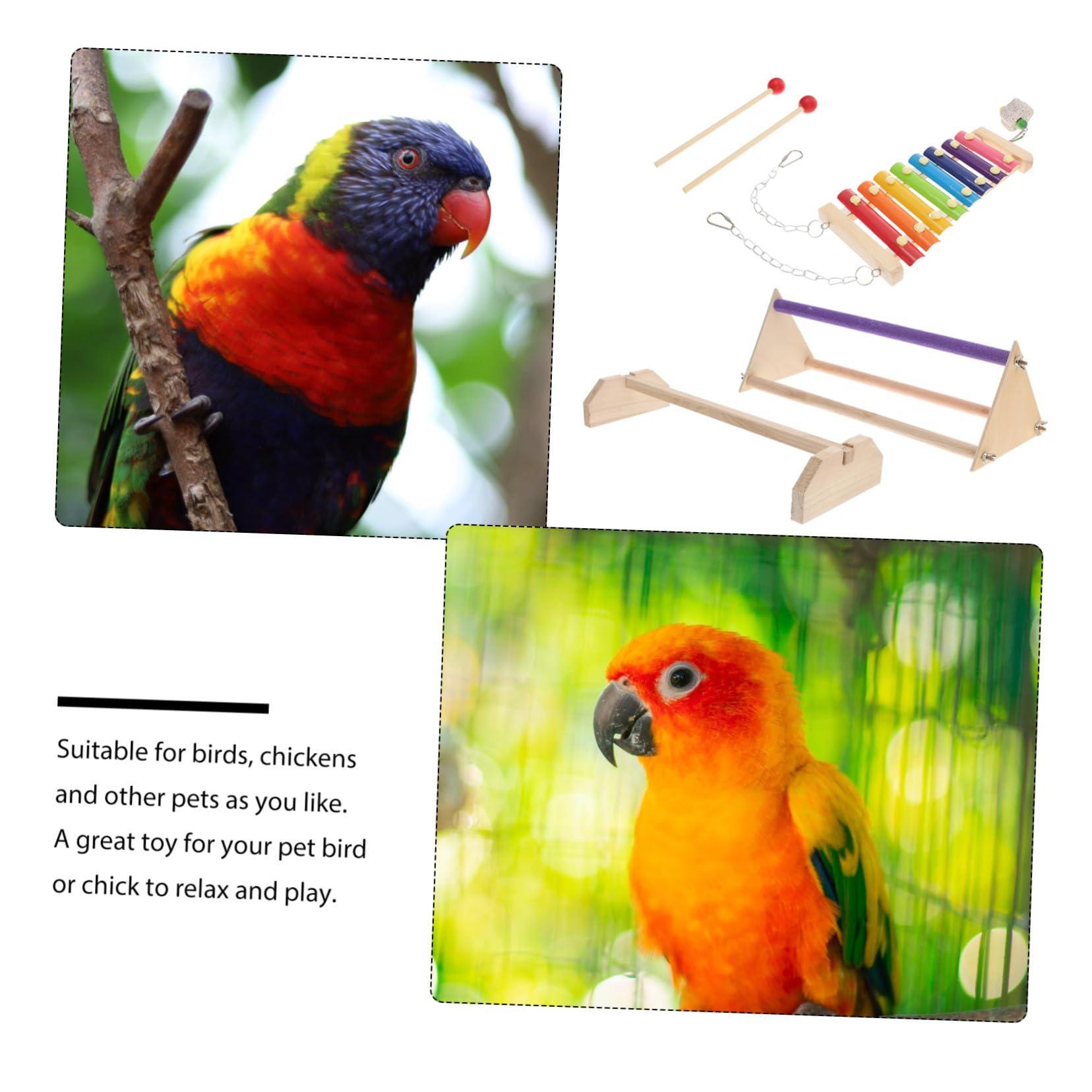 Juego de Accesorios para Aves Soporte de Madera para Pájaros, Barra de Madera para Descansar y Escalera para Gallinero, Adecuado para Relajación y Juego