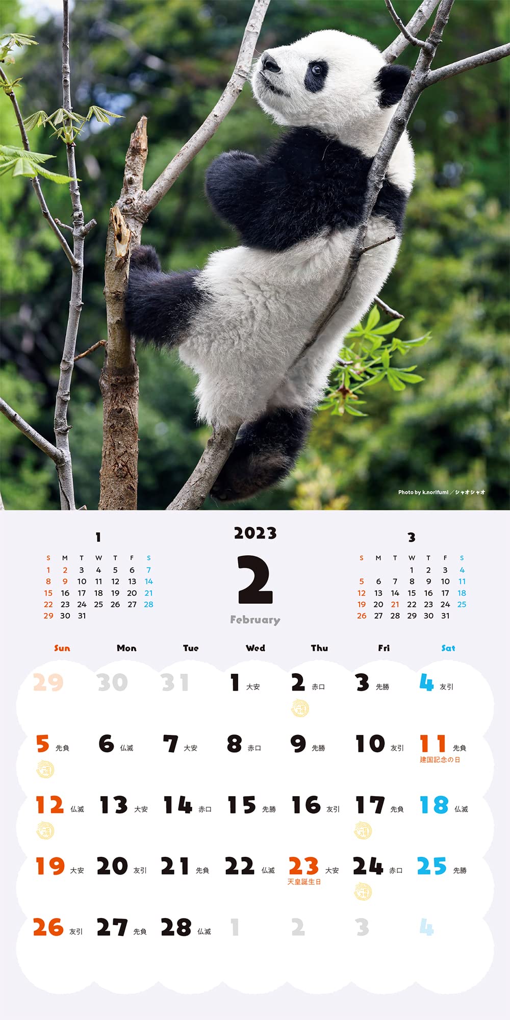 ハッピー ラッキー パンダカレンダー 23 Hpo3ikv9lt Collectionconsultancy Com Au
