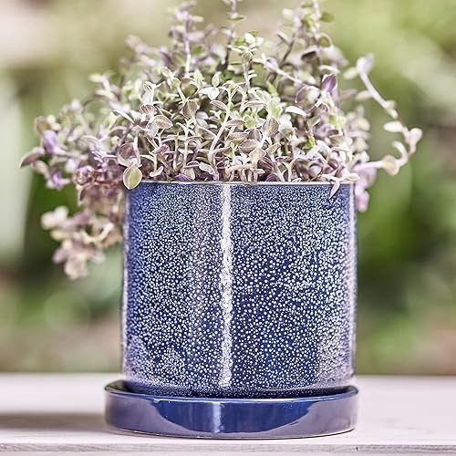 Miniatura 52 de CHIVE Macetas de cerámica para suculentas 'Minute', macetas de 5 pulgadas para cactus y flores de interior con drenaje y platillo desmontable, verde