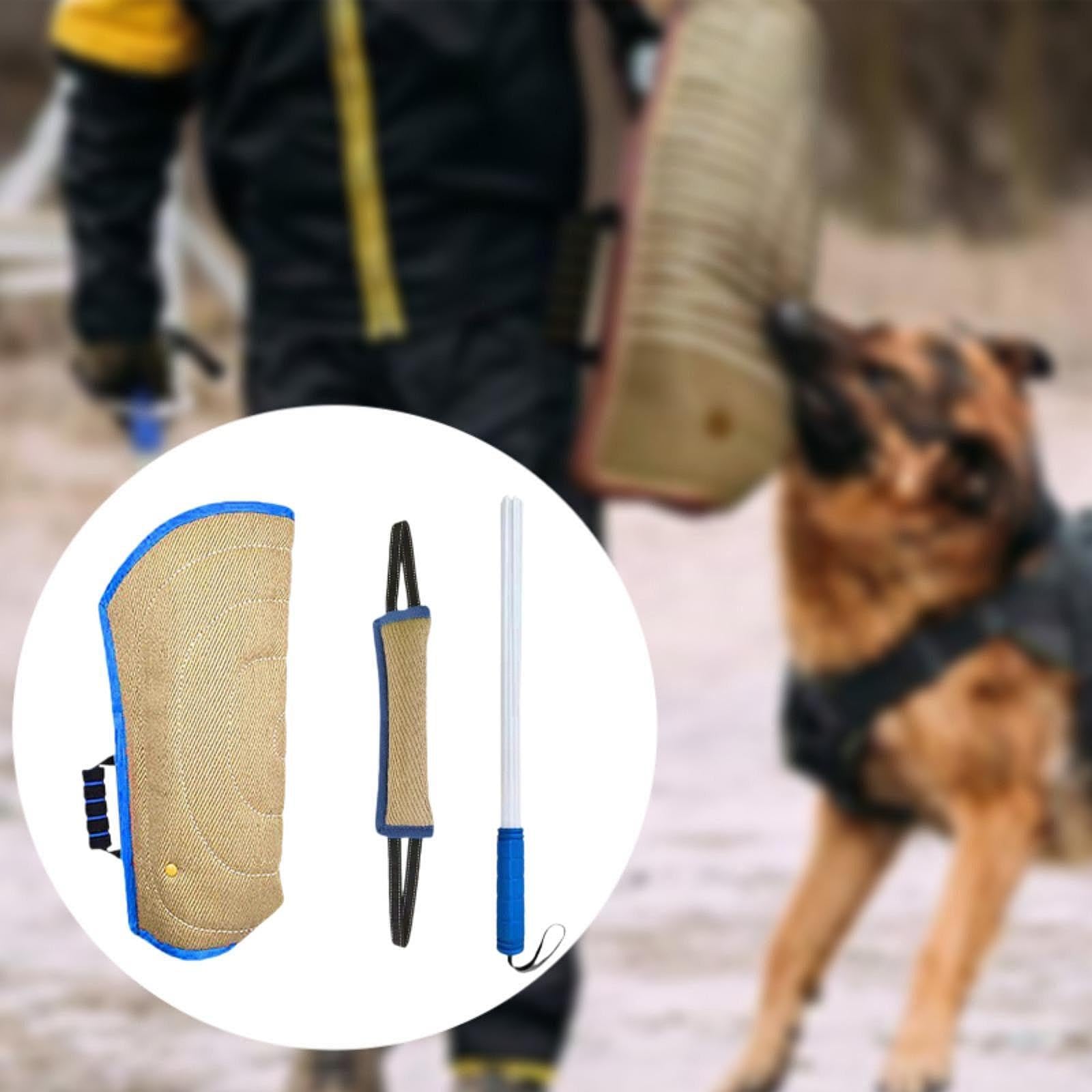 3X Biting Arm Sleeve, Dog Training Stick, Dog Bite Training Set, Dog Bite Pillow Tug Toy for Puppy, Blue