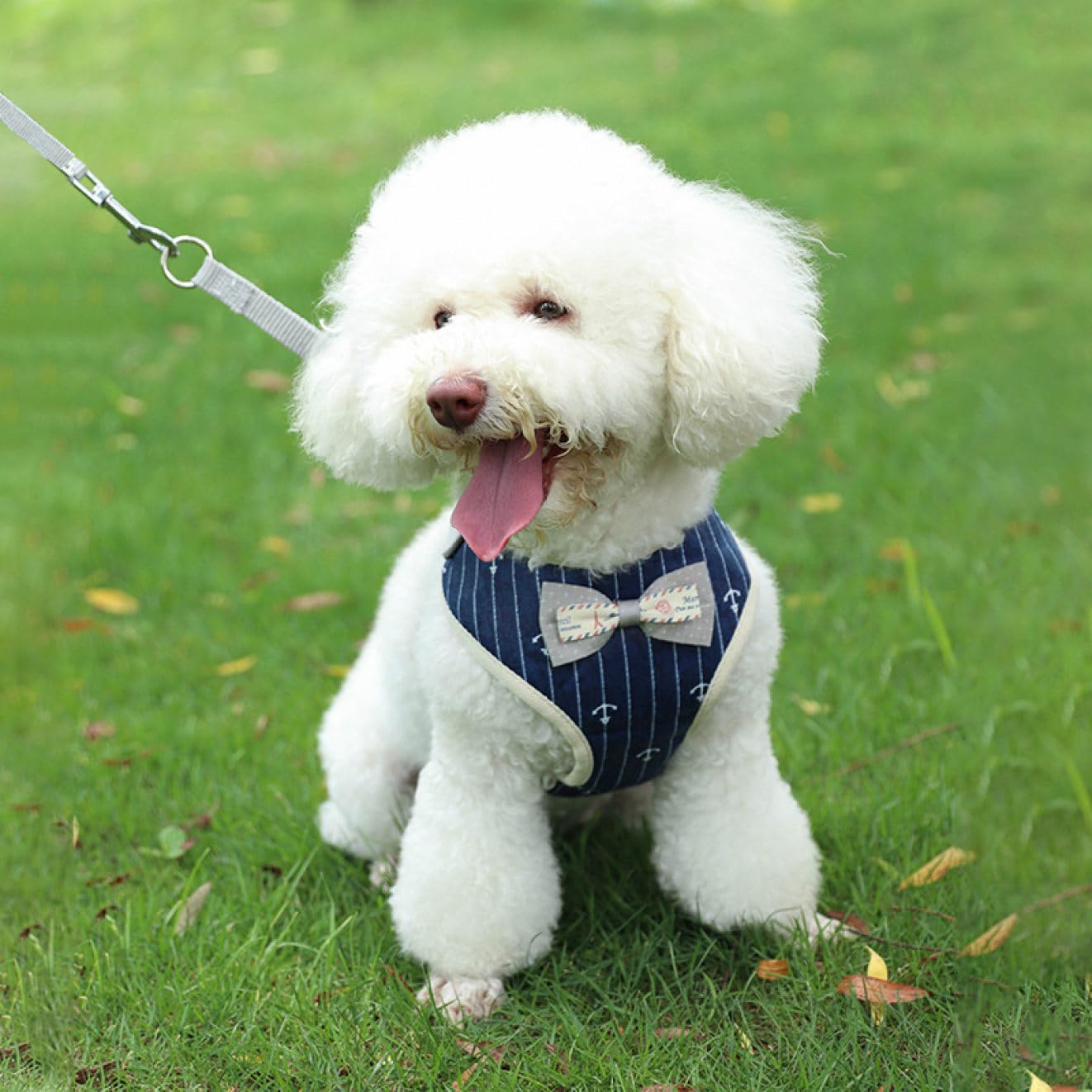 Amazon | ハーネス L リボン付き ハーネス リード 小型犬 ハーネス