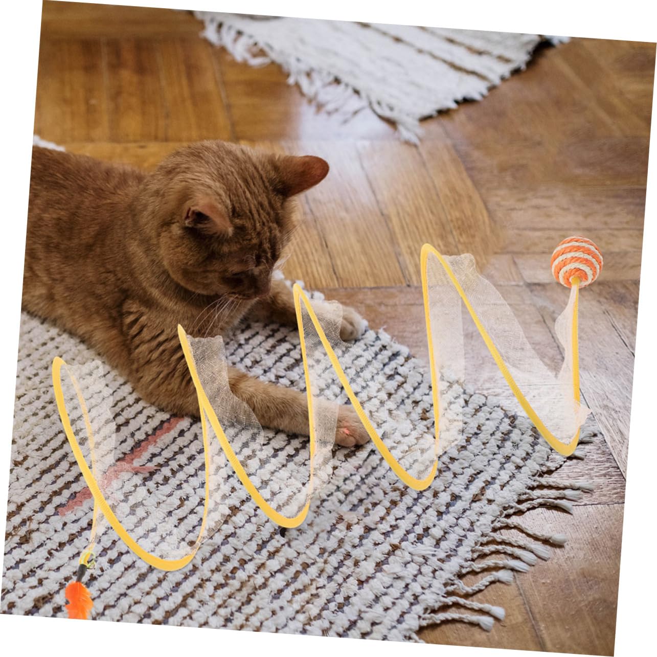 Yardwe 6stücke Interaktive Katzenspielzeuge Faltbarer Katzentunnel Und Kicking Toys Für Katzen Und Kätzchen Fördert Spiel Und Bewegung Farblich Gemischte Accessoires
