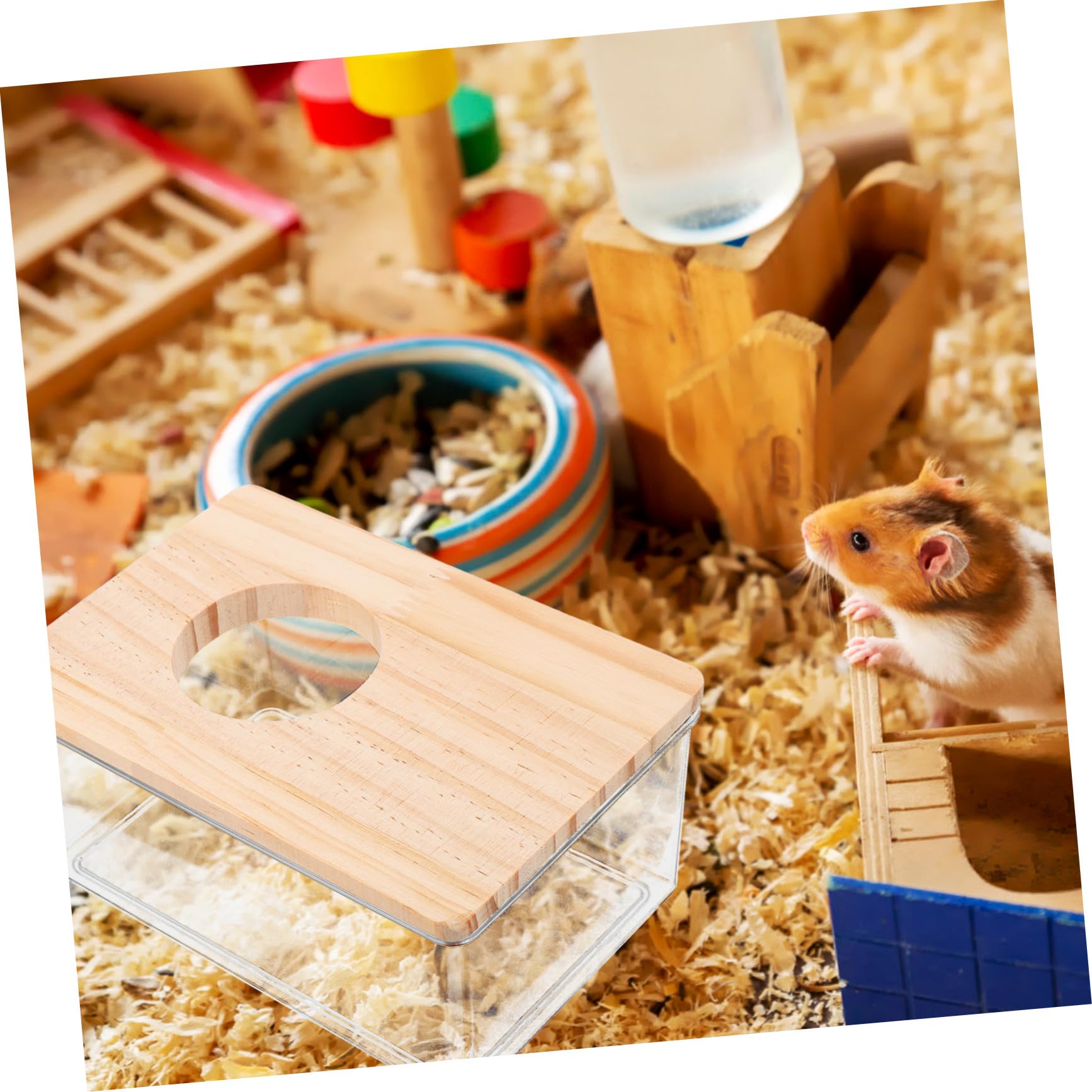 TEHAUX Hamster Sandbad Kasten Mit Acryl Kasten Und Holzabdeckung Transparent Multifunktional Als Toilette Und Badewanne Für Kleintiere Wie Chinchillas Mäuse Und Hamster Haushalt Kleintierzubehör