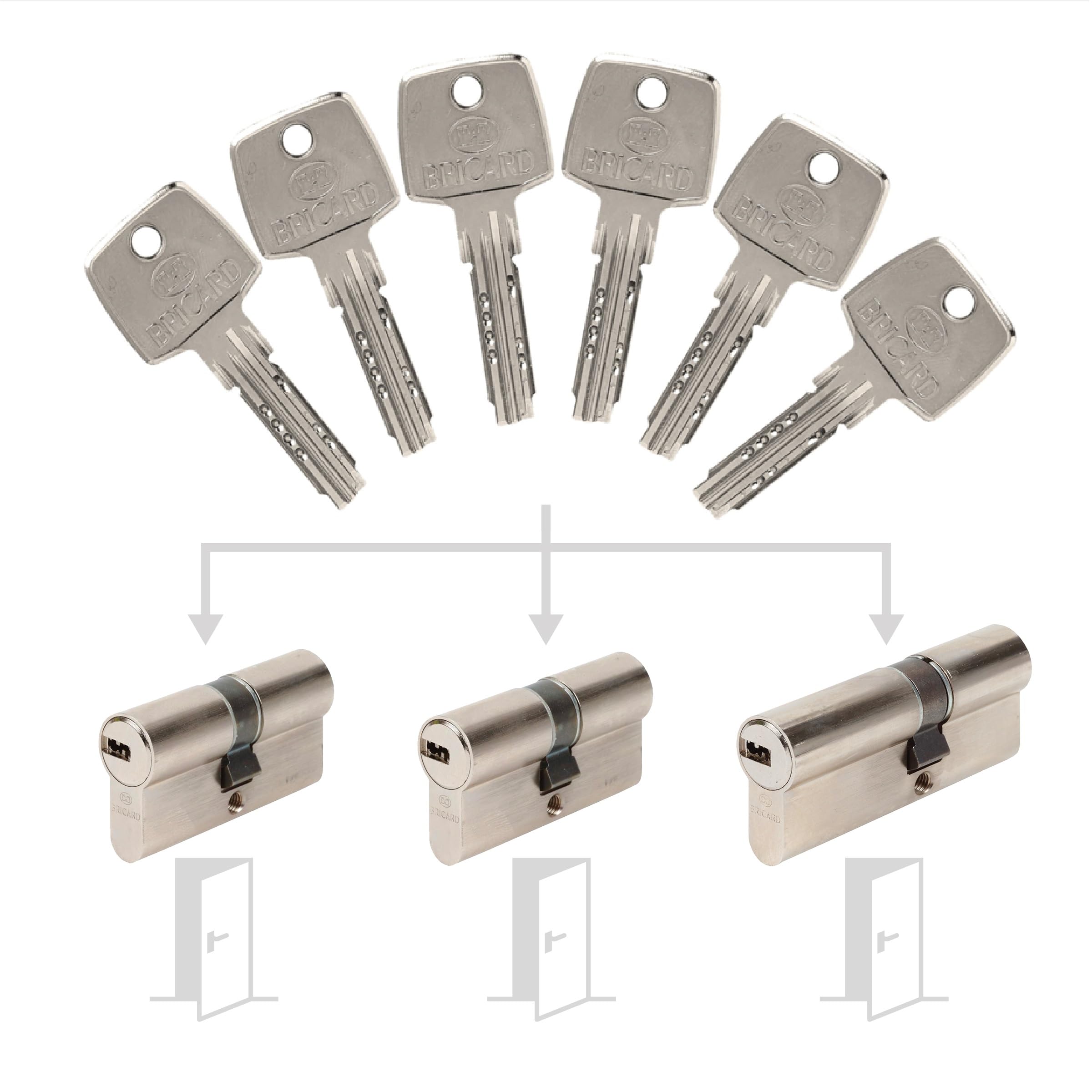 Pack de 3 cylindres Bricard Astral s'entrouvrant: 2x 30+30, & 1x 30+40 avec 6 clés.