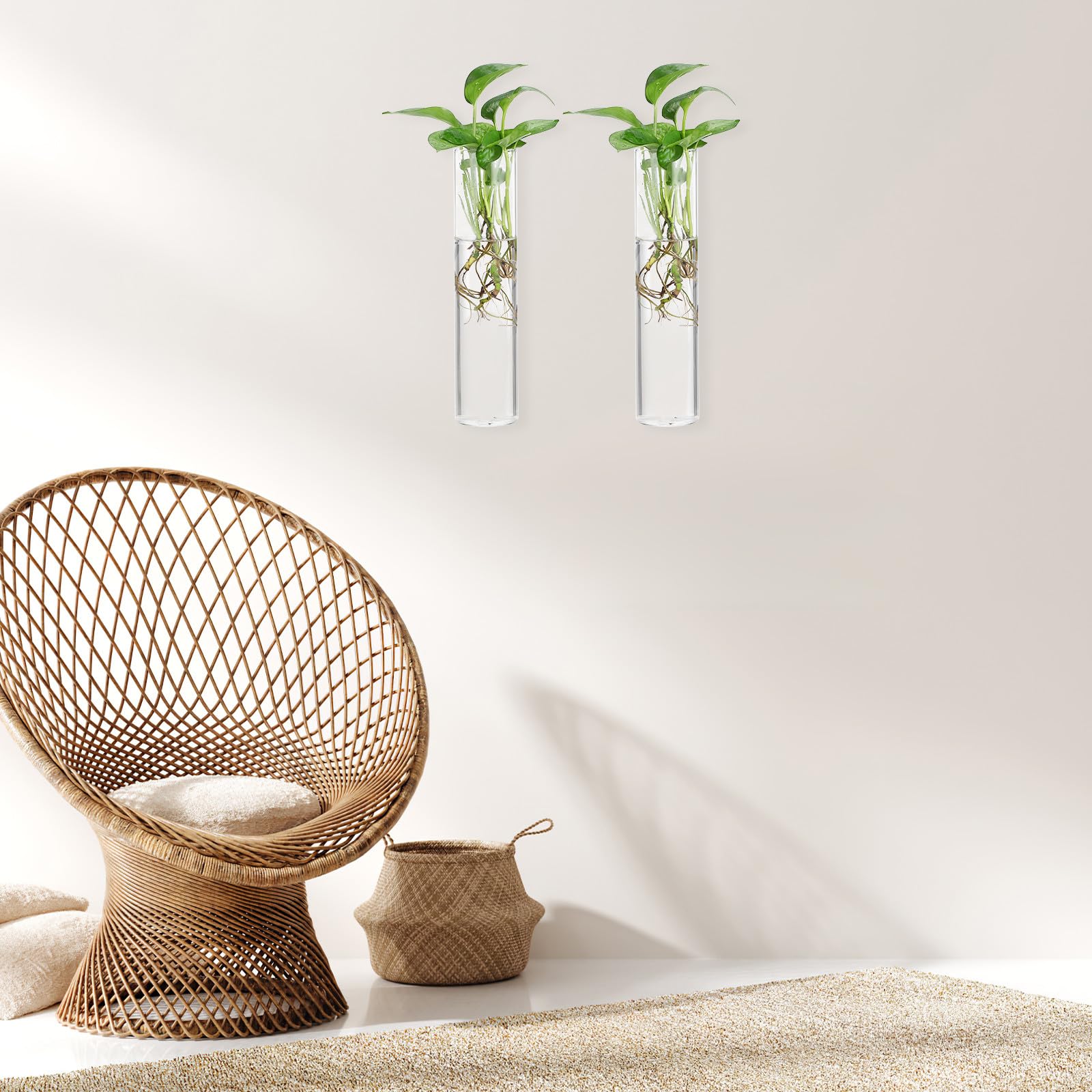 BESPORTBLE Set di vasi cilindrici da parete in vetro con superficie liscia e facile da pulire, 2 pezzi, supporto per piante acquatiche da appendere, terrario decorativo moderno per piante da interno