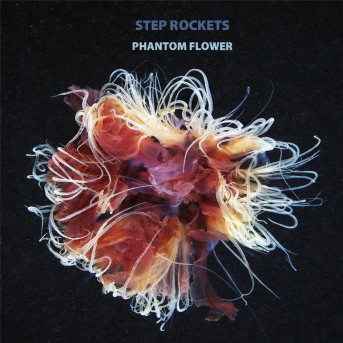 Step Rockets
