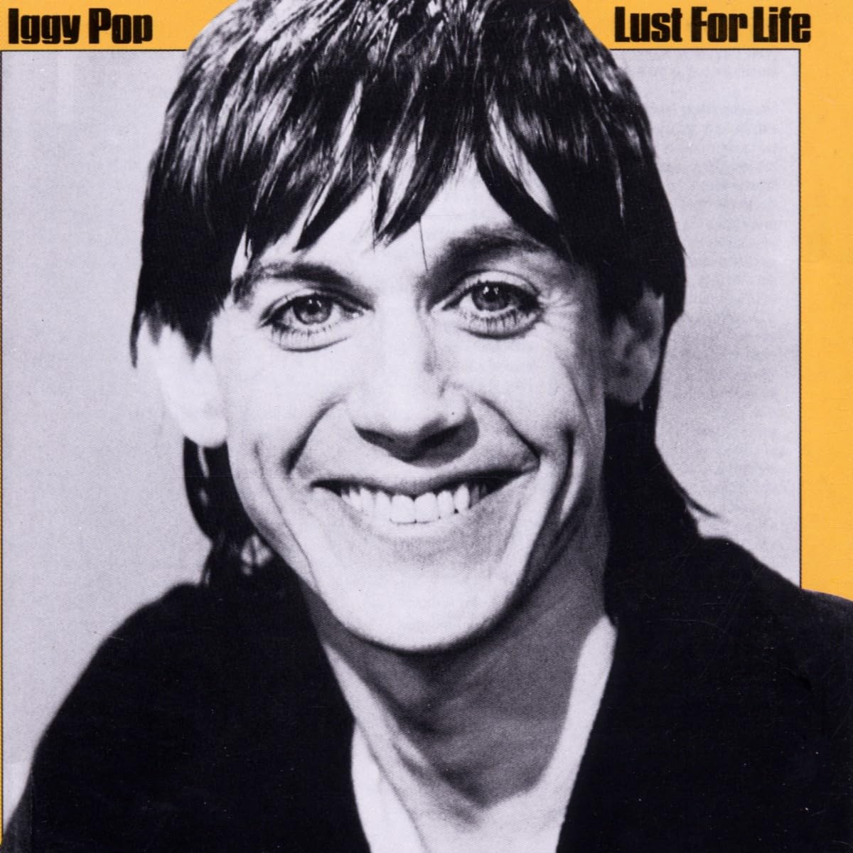 Iggy Pop　Lust For Life　レコード　LP　イギーポップ　再発 Amazon.co.jp: LUST FOR LIFE: ミュージック