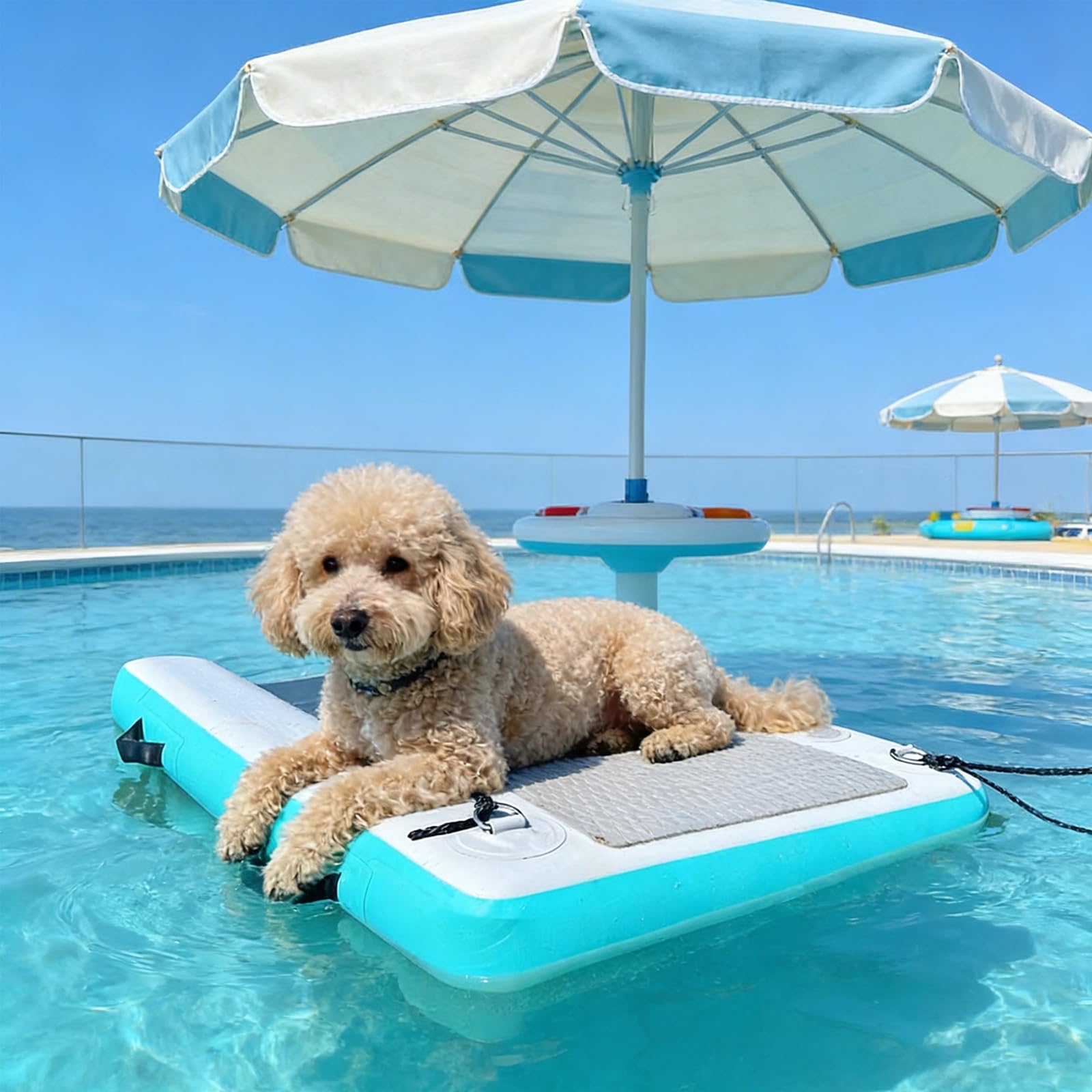 SRNSAEB Rampa de Agua para Perros Rampas para Barcos para Perros de Alta Resistencia montadas en Escalera de natación, rampas flotantes para Perros para muelles de Agua/Playas/Lago/Piscina(Green)