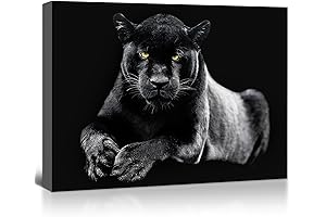 Striking Black & White Panther Canvas Wall Art for Home Decor Enthusiasts