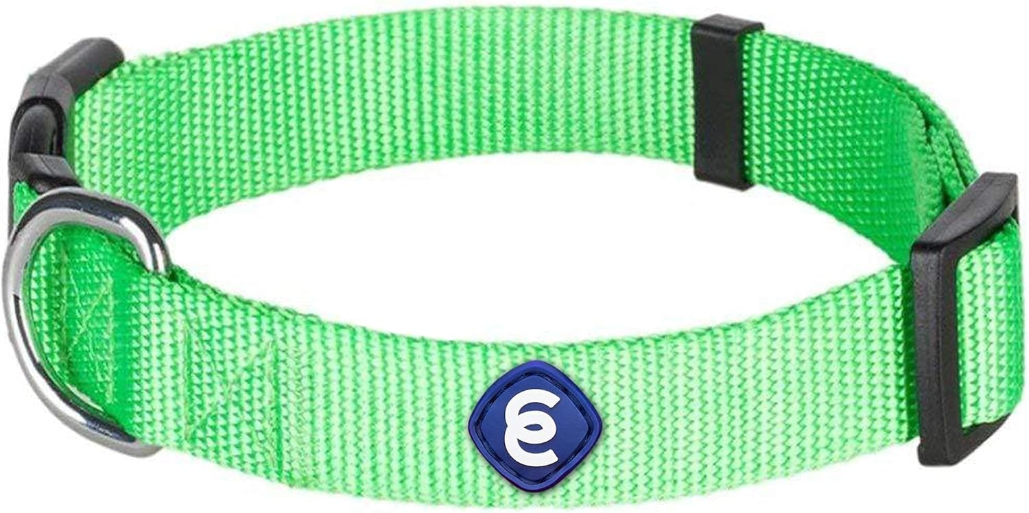 Blueberry Pet Essentials Bundle Set - Small Neon Green Dog Collar + Chest Girth 16.5-21.5" Harness