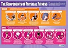 Daydream Education Components of Physical Fitness Classroom Poster - EXTRA LARGE 33” x 23.5” - Laminated - Physical Education Middle & High School Class Decor - Wall Charts