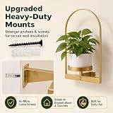 SELFIE CAT Golden Wall Mounted Planters Indoor Plant Frame – Supports heavy loads securely