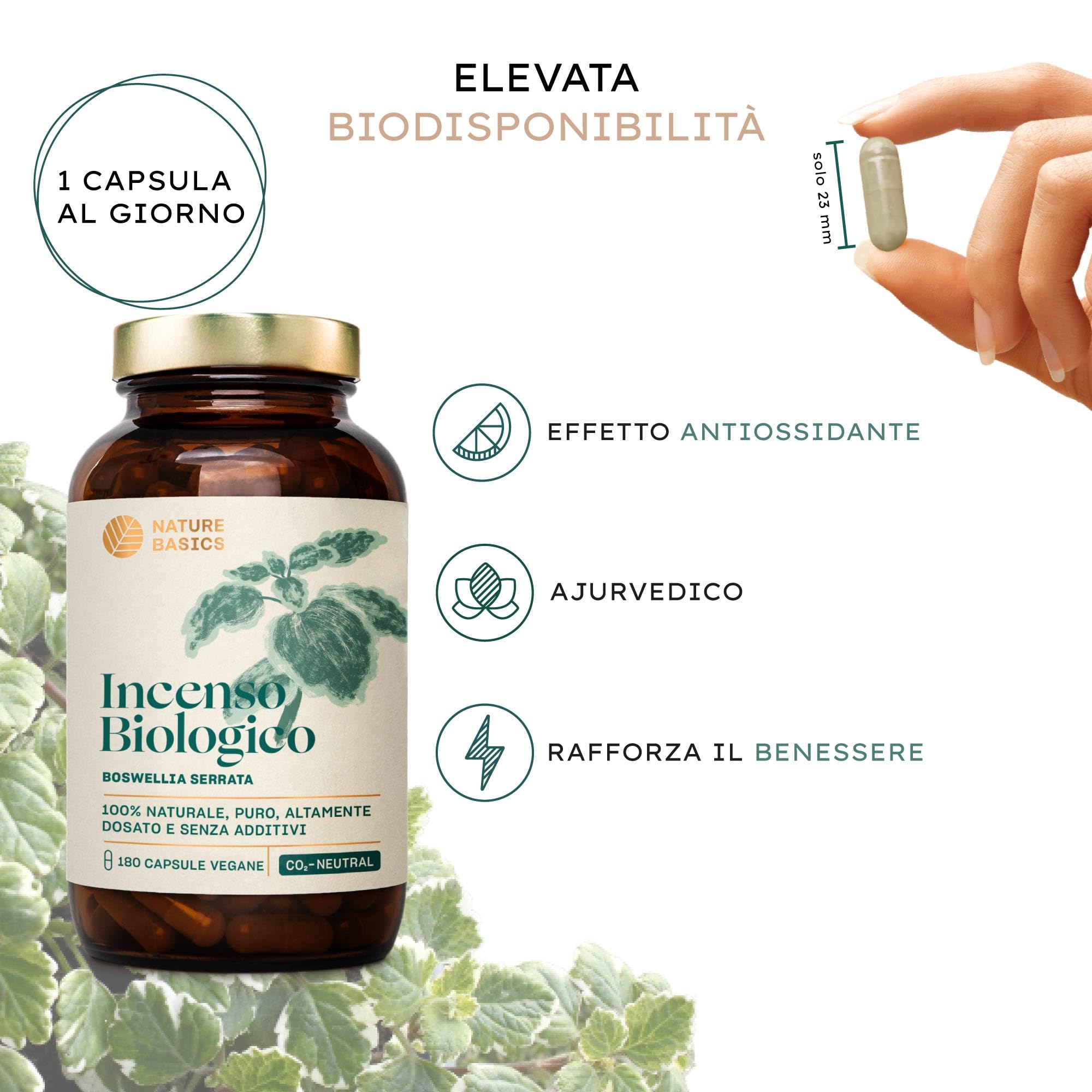 Capsule di incenso biologico - 180 capsule ad alto dosaggio / 500 mg di estratto di incenso biologico per dose giornaliera/Integratore alimentare ayurvedico di alta qualità/Vegano e sostenibile