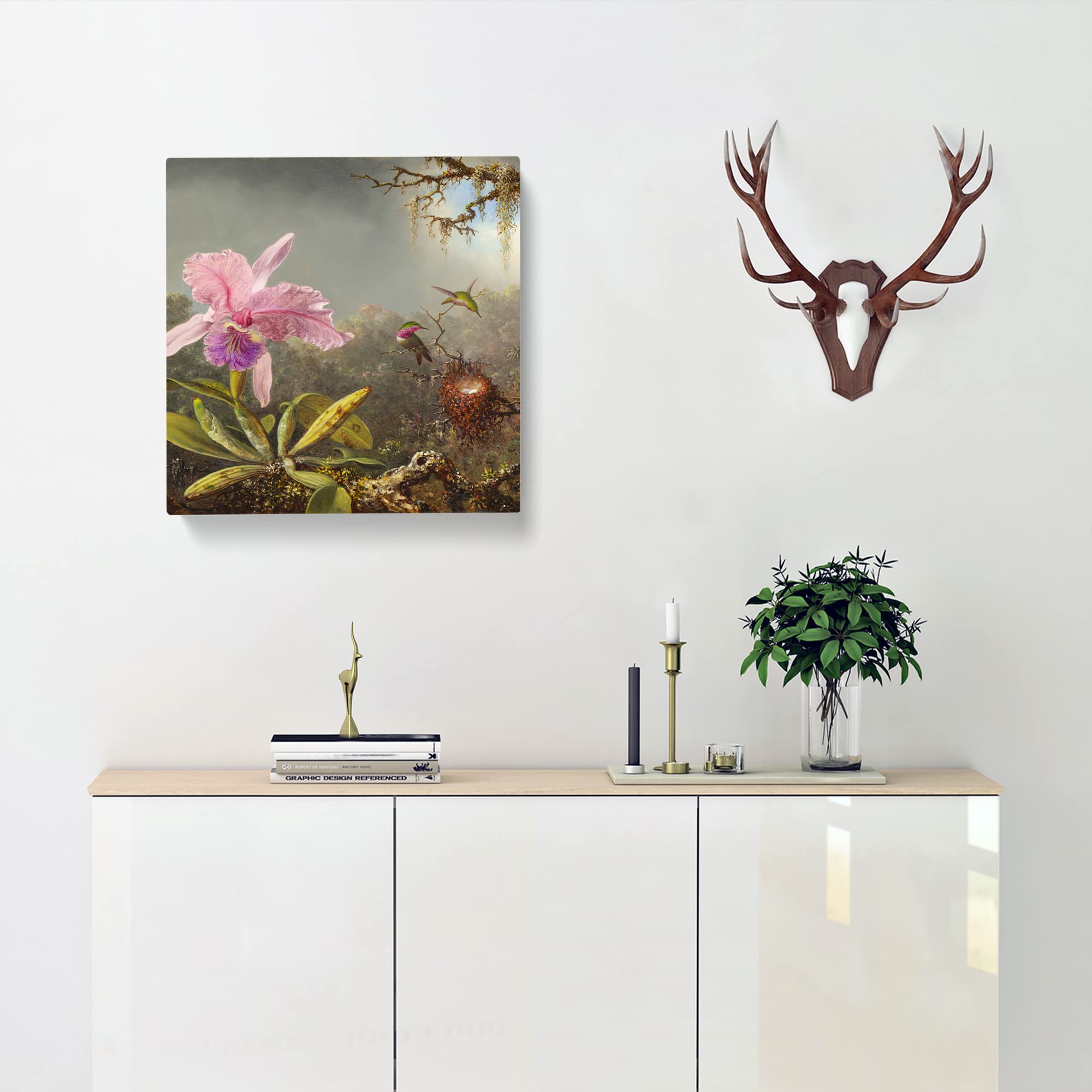 Cattleya Orchid And Hummingbirds by Martin Johnson heade Canvas Print, Mixed, 35L x 35W cm - Image 2