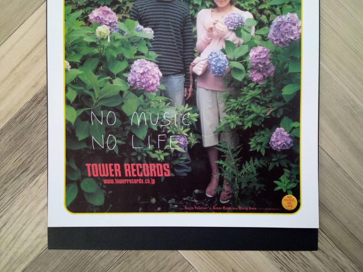 Amazon.co.jp: 椎名林檎&首藤康之 タワレコ広告 簡単！入れるだけ額装 