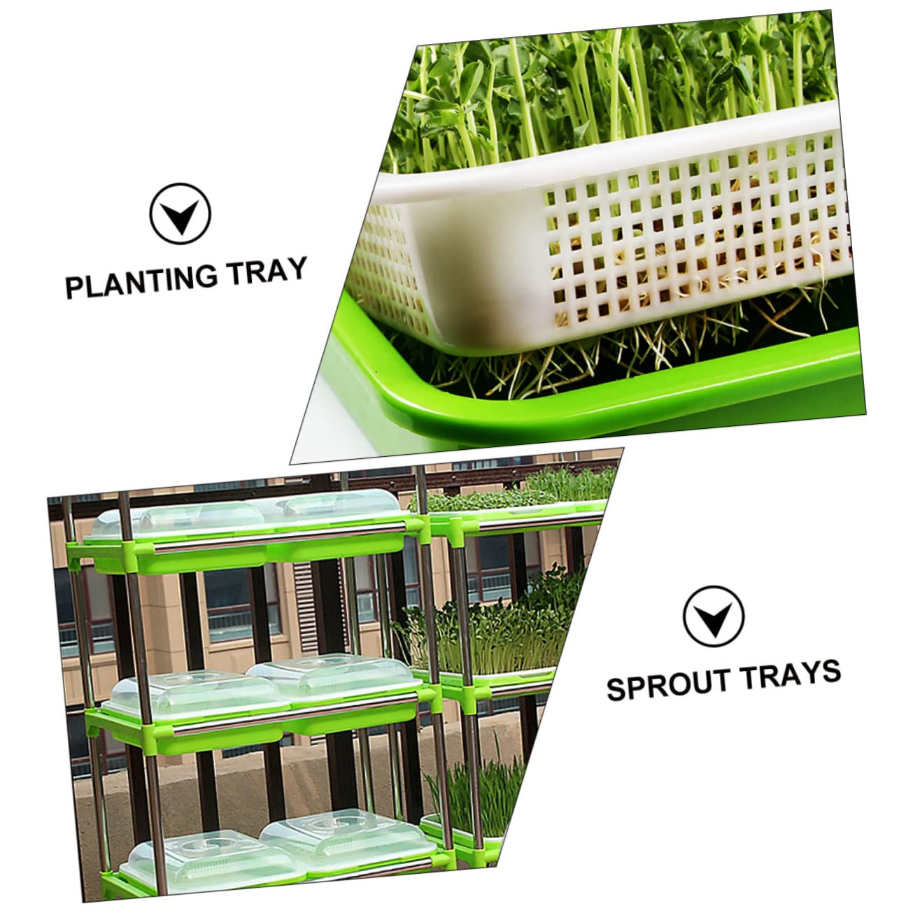 Bandeja de Cultivo para Brotes Tapa, 2 Juegos, Plástico Verde
