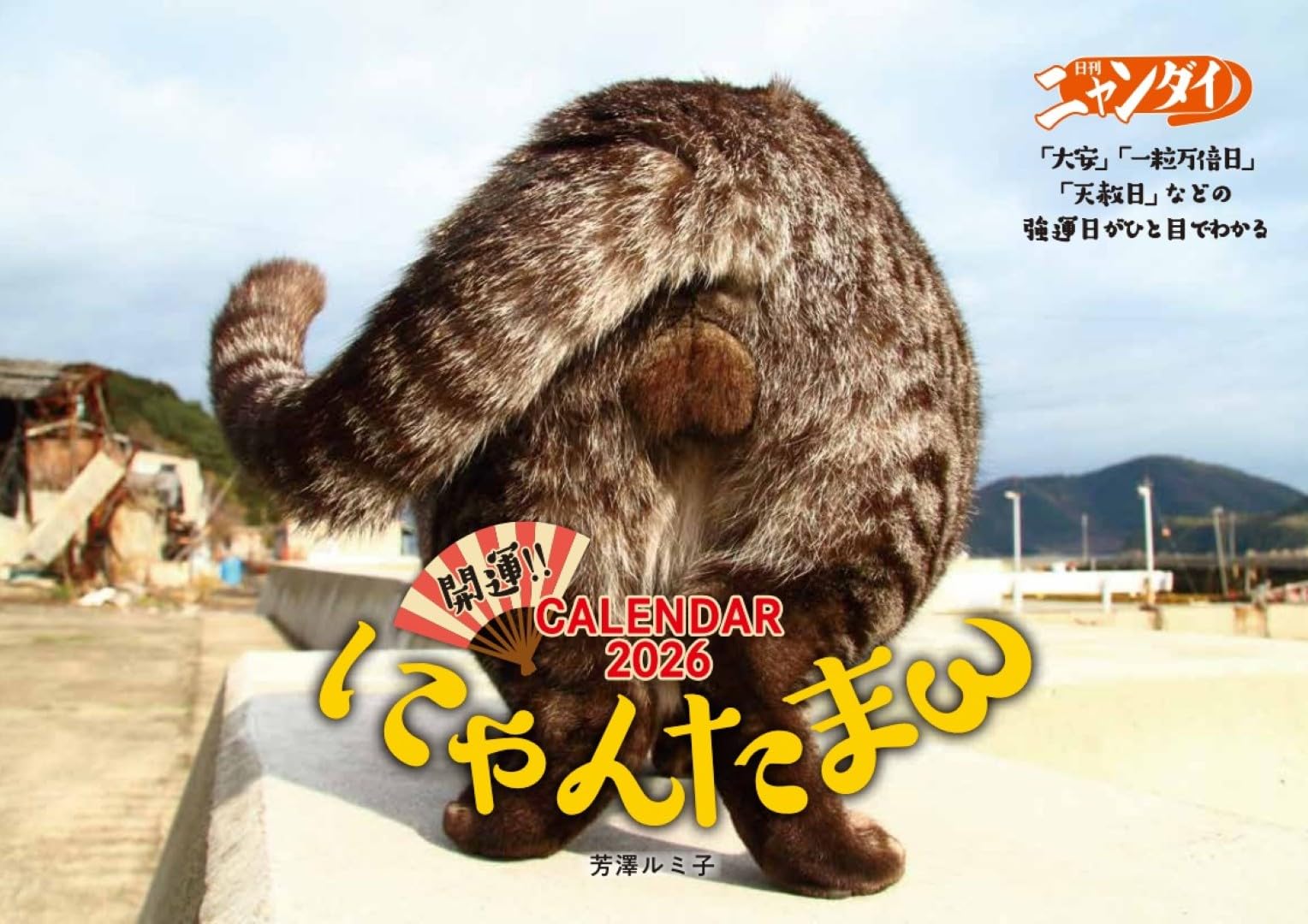 Amazon | ハゴロモ にゃんたまカレンダー2026／芳澤ルミ子 2026年