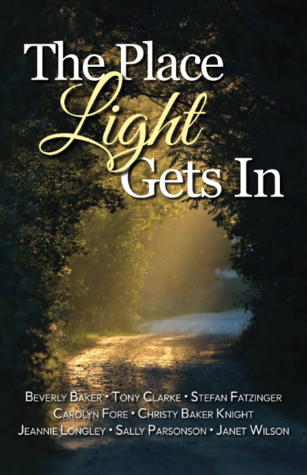 The Place Light Gets In