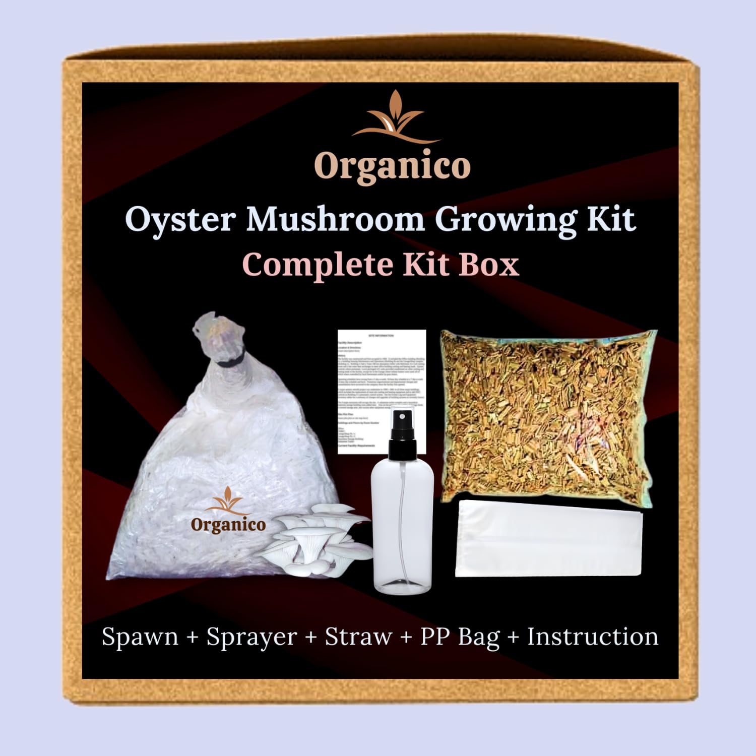 Organico Complete DIY White Oyster Mushroom Growing Kit Box With (Spawn + Straw Substrate + PP + Manual + Spray) 1st Generation Oyster Mushroom Seed Spawn for Mushroom Farming