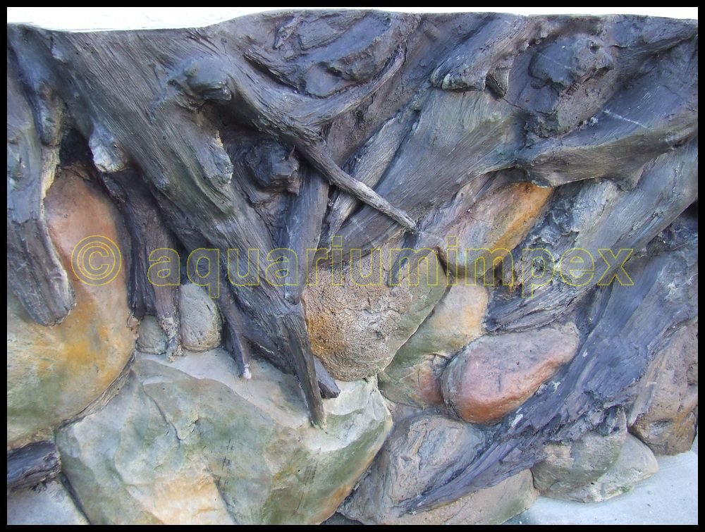 3D Rückwand 200x60 Aquariumrückwand Amazonas