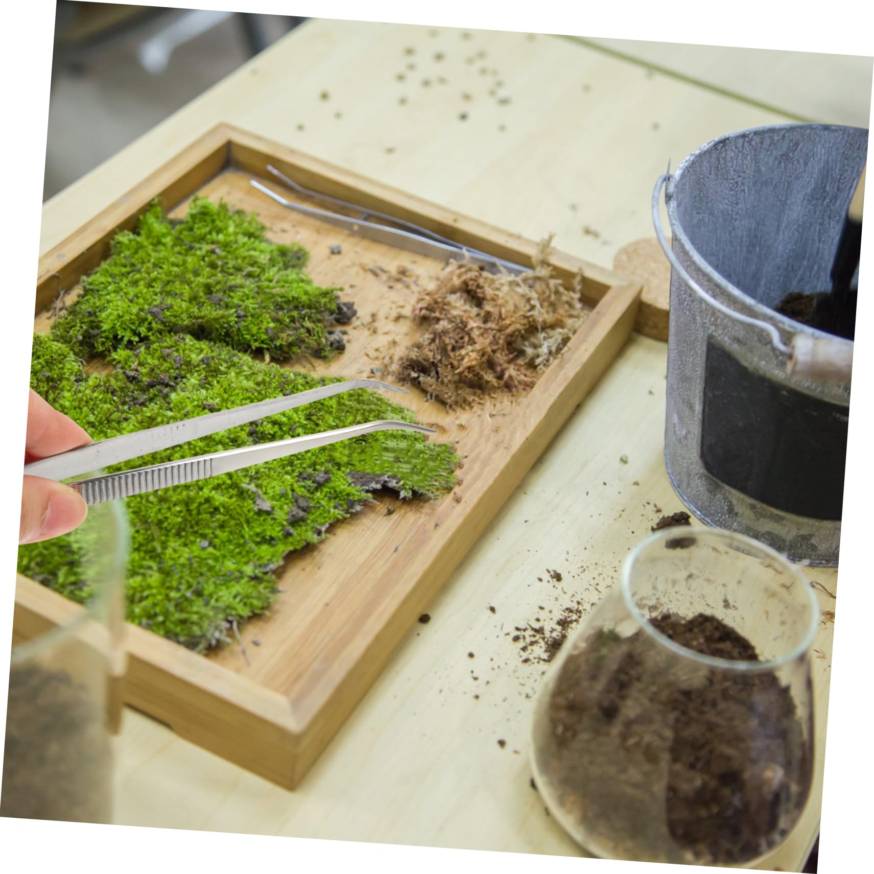 BUTIFULSIC Bonsai Gardening Tools Set 2pcs Stainless Steel Plant Tweezers Root Rake Perfect for Succulents