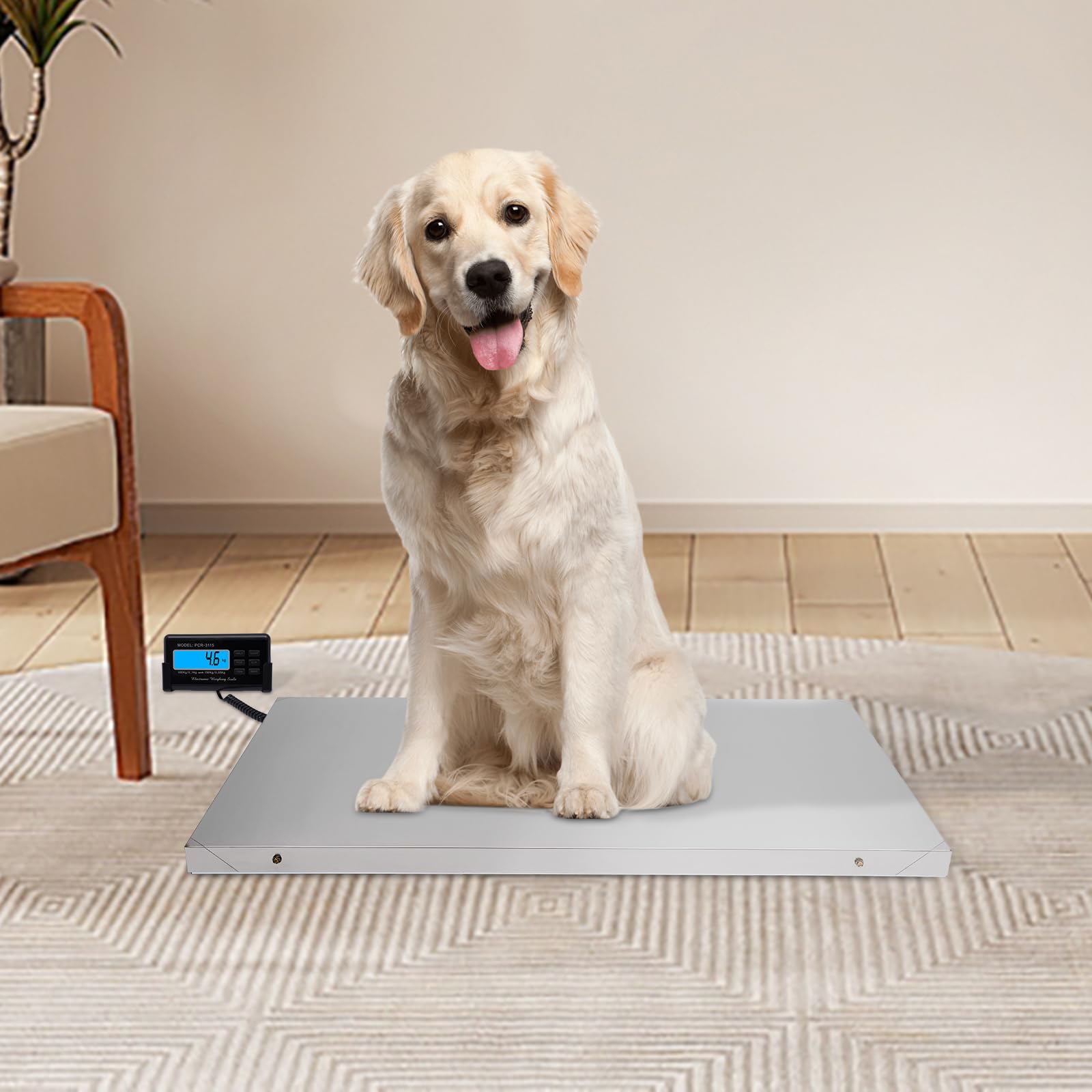 Balanzas electrónicas para mascotas, báscula para animales pequeños, báscula de alta precisión, plataforma de pesaje grande, clínica veterinaria, básculas para clínicas veterinarias, tiendas de