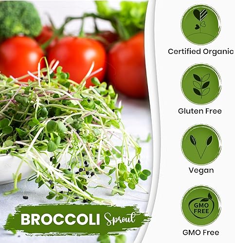 Miniatura 6 de Smoothie Greens - Recambio para Hamama Home Microgreens, semillas orgánicas y no transgénicas, cultiva microverduras frescas en interiores cada