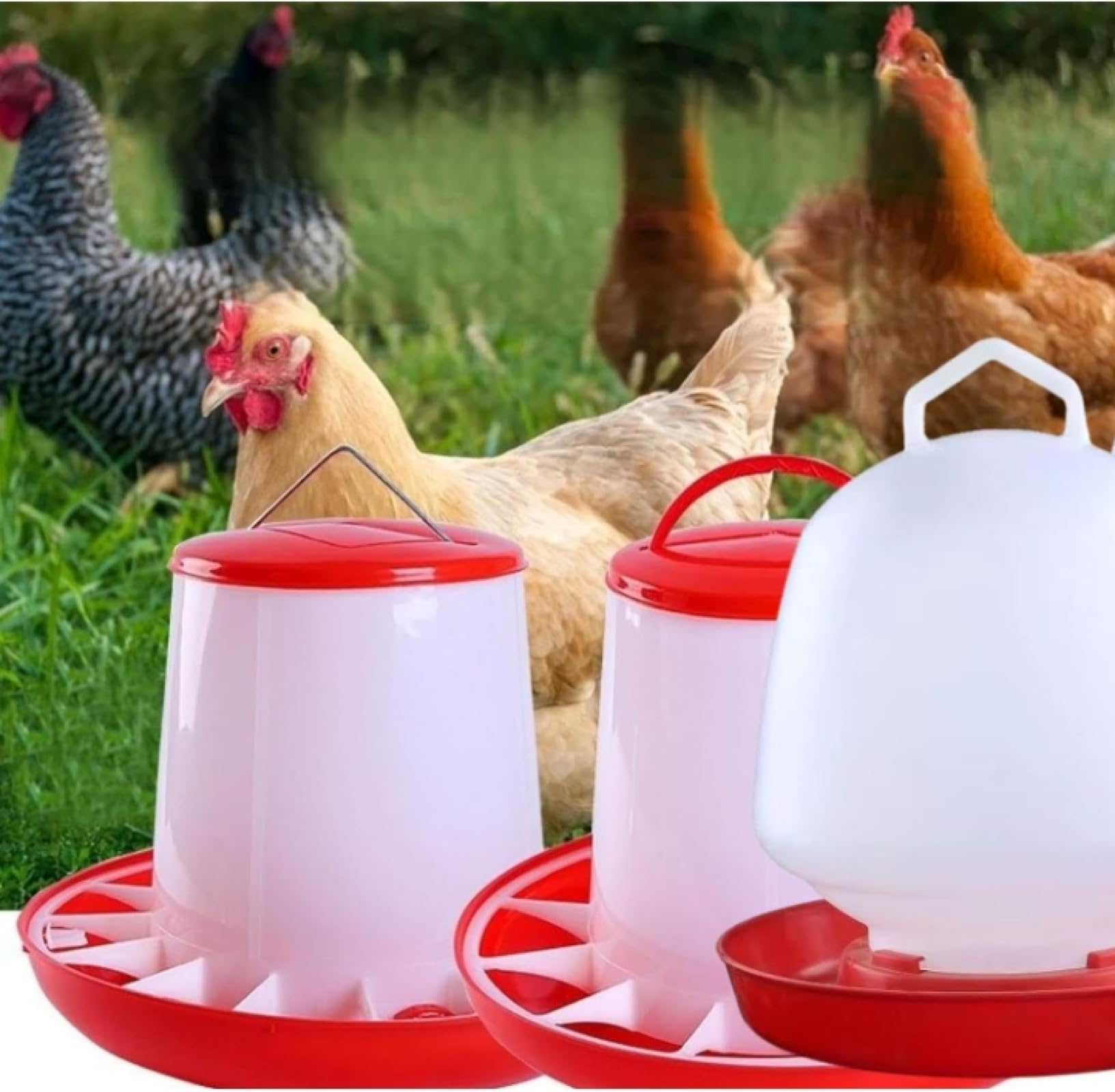 食器・餌やり・水やり用品 NONO 食器・餌やり・水やり用品 NONO 食器・餌やり・水やり用品 NONO