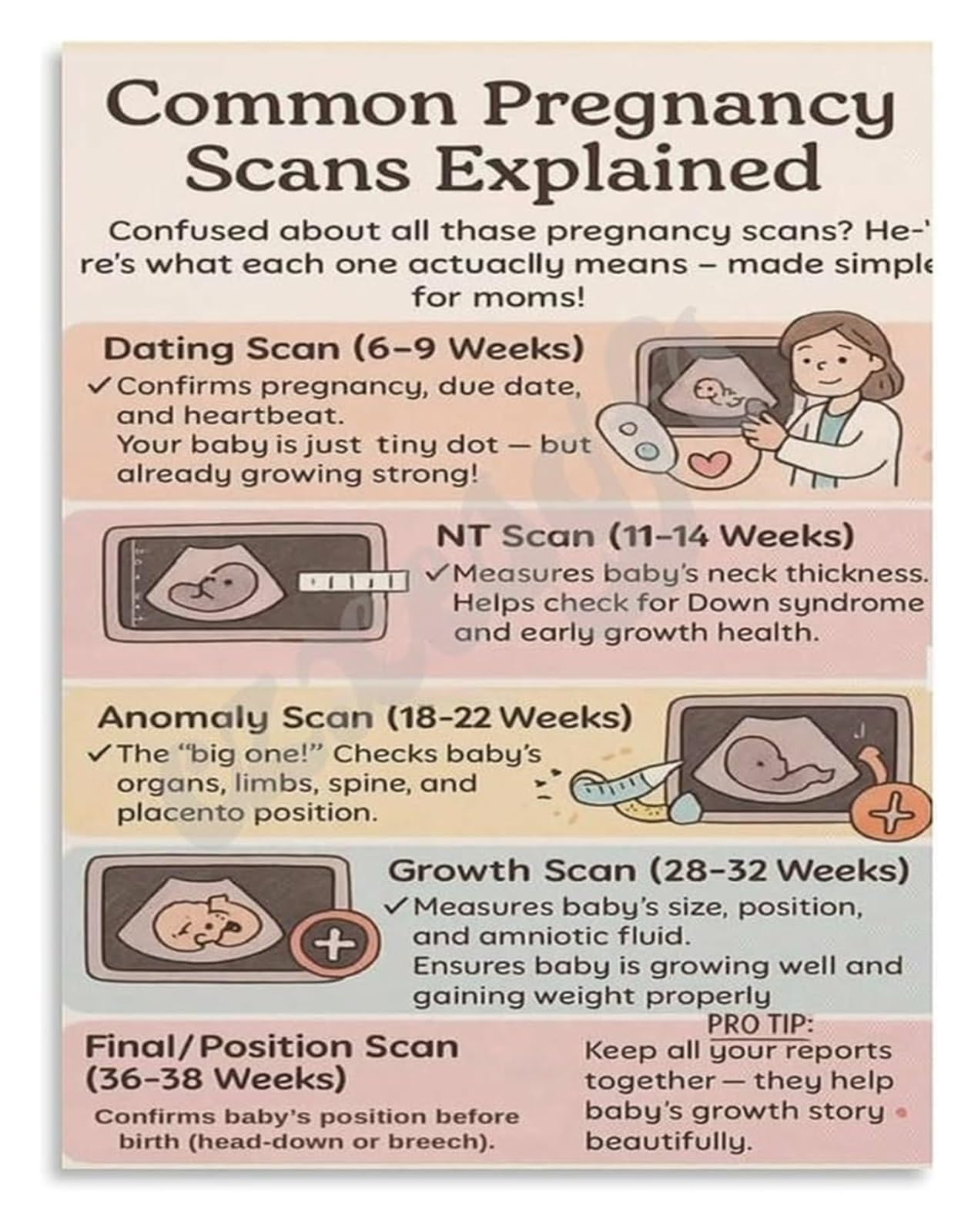 LLBOGRGGN Pregnancy Milestones and Memories Poster for Parents to Be Wall-Art Canvas Print Nursery Decor Development Living Room Bedroom(Unframed,08x12inch(20x30cm))