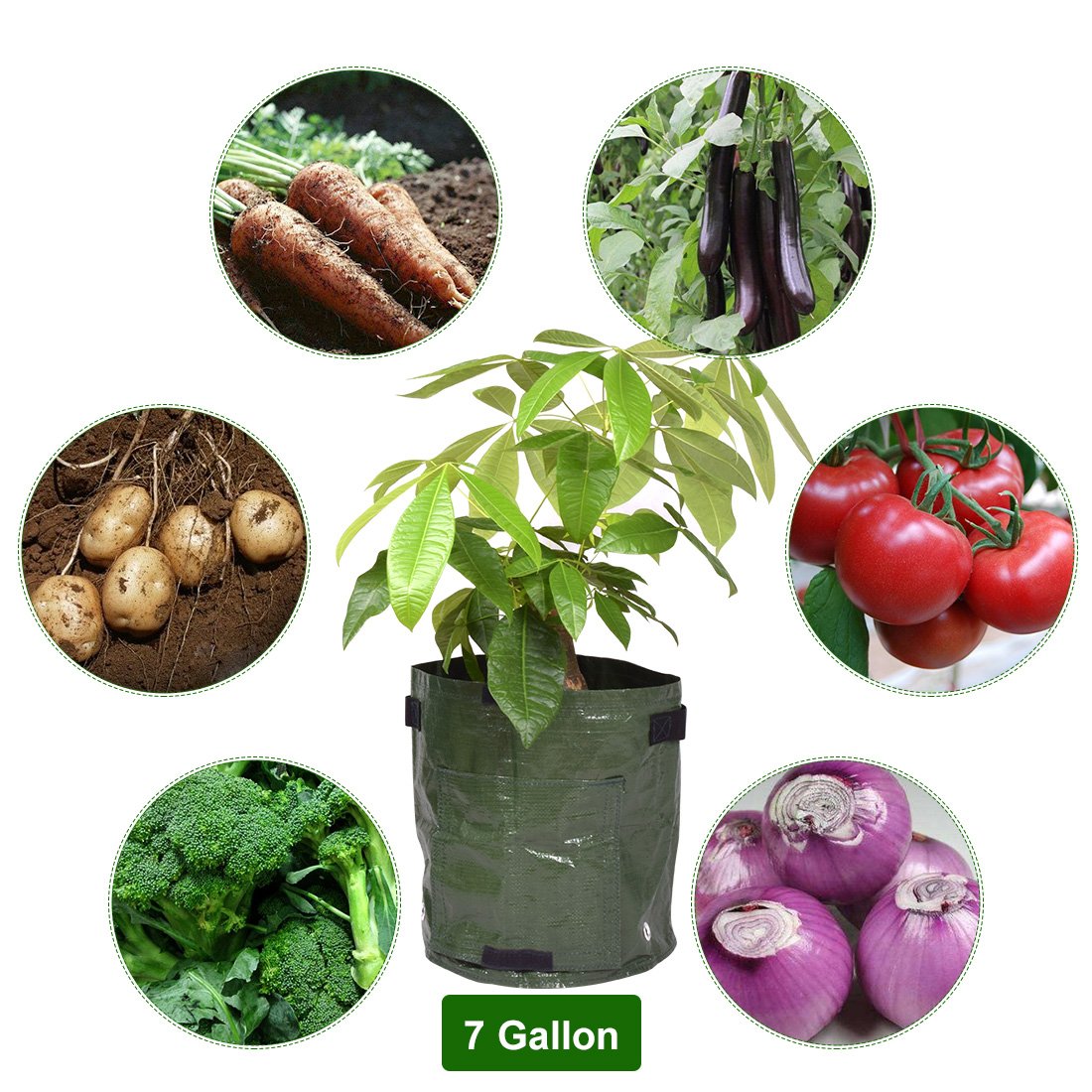 Verduras maceta cubo de bolsas con asas y con solapa de acceso ...