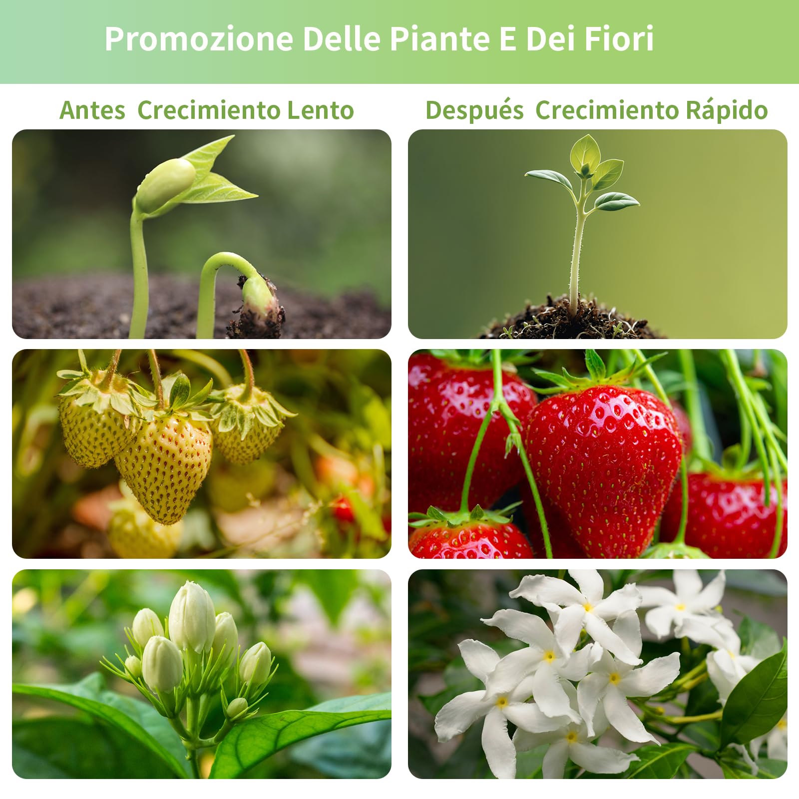 JESLED Lámpara LED de Espectro Completo Para Plantas de 30 W, E27, Luz de Crecimiento de 4100 K Adecuada Para Plantas de Interior, Alto PPFD Adecuado Para Verduras, Frutas, Plantas Y Flores