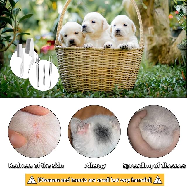 Foto 5 de 7 de 6 piezas Kit de herramientas de eliminación de garrapatas para mascotas