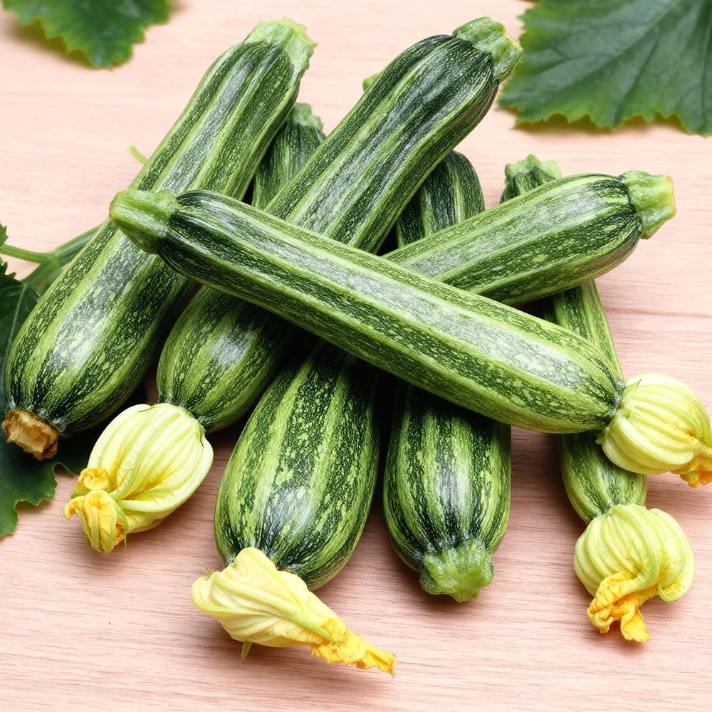 Marrow Zucchino Romanesco Seeds – Mid-Late Italian Courgette Variety, Ribbed Light-Striped Fruits, Nutty Flavour, High Yield Bush Plants