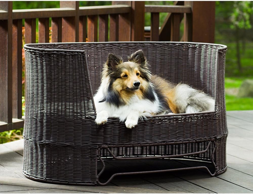 Dog Day Bed with Outdoor Cushion Size: Medium - 35.5" L x 23.5" W