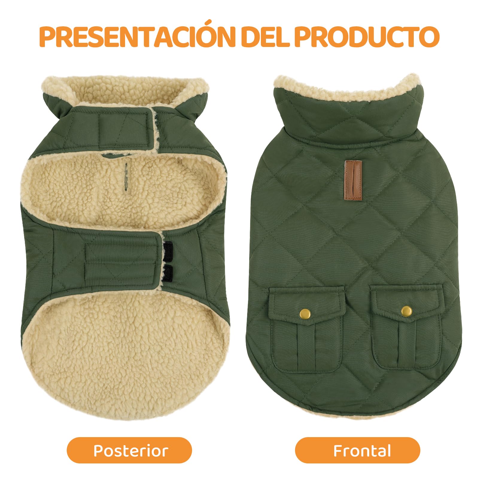 Queenmore Abrigo Perro Pequeño Abrigo Impermeable Perro Abrigo para Perros Invierno Ropa Perro Chaqueta Perro Caldo para Teckel Bulldog Frances, Verde, S