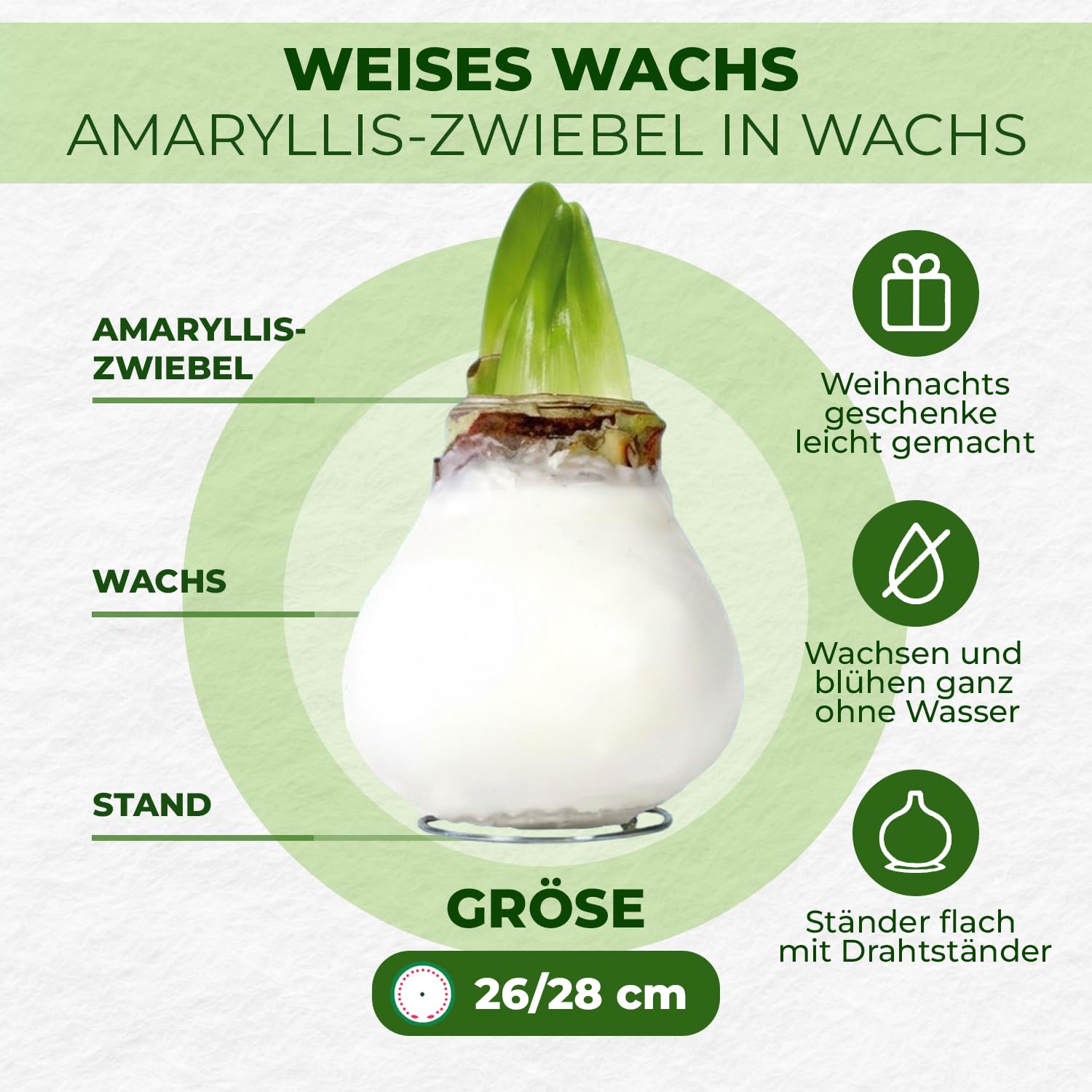 künstliche lederjacke damen Lange Damen Lederjacke aus weichem Sheep Nappa main image 0