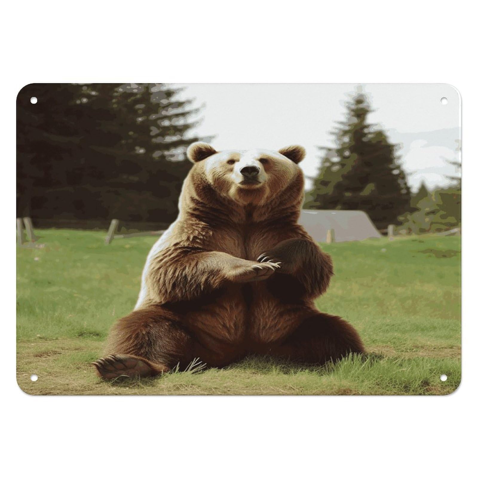 Btcowzrv Style Hi Bear Sit On The Lawn Metal Sign, 5.5" X 7.9" Tin Wall Decor, Wall Art Plaques For Home Wedding Decor Room Living Room Decoration