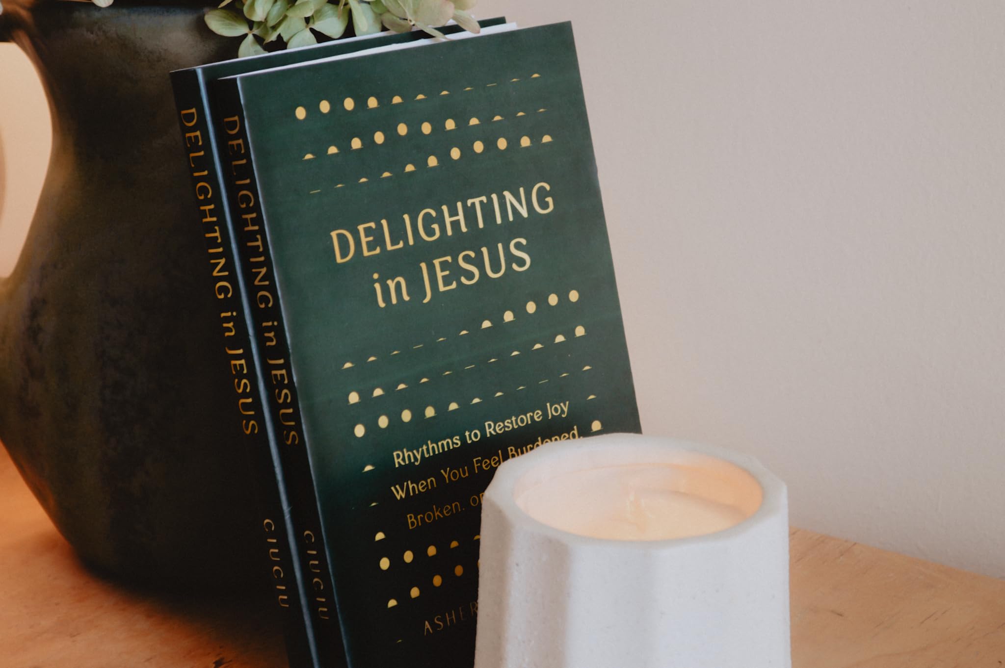Delighting in Jesus: Rhythms to Restore Joy When You Feel Burdened, Broken, or Burned-Out - PT02