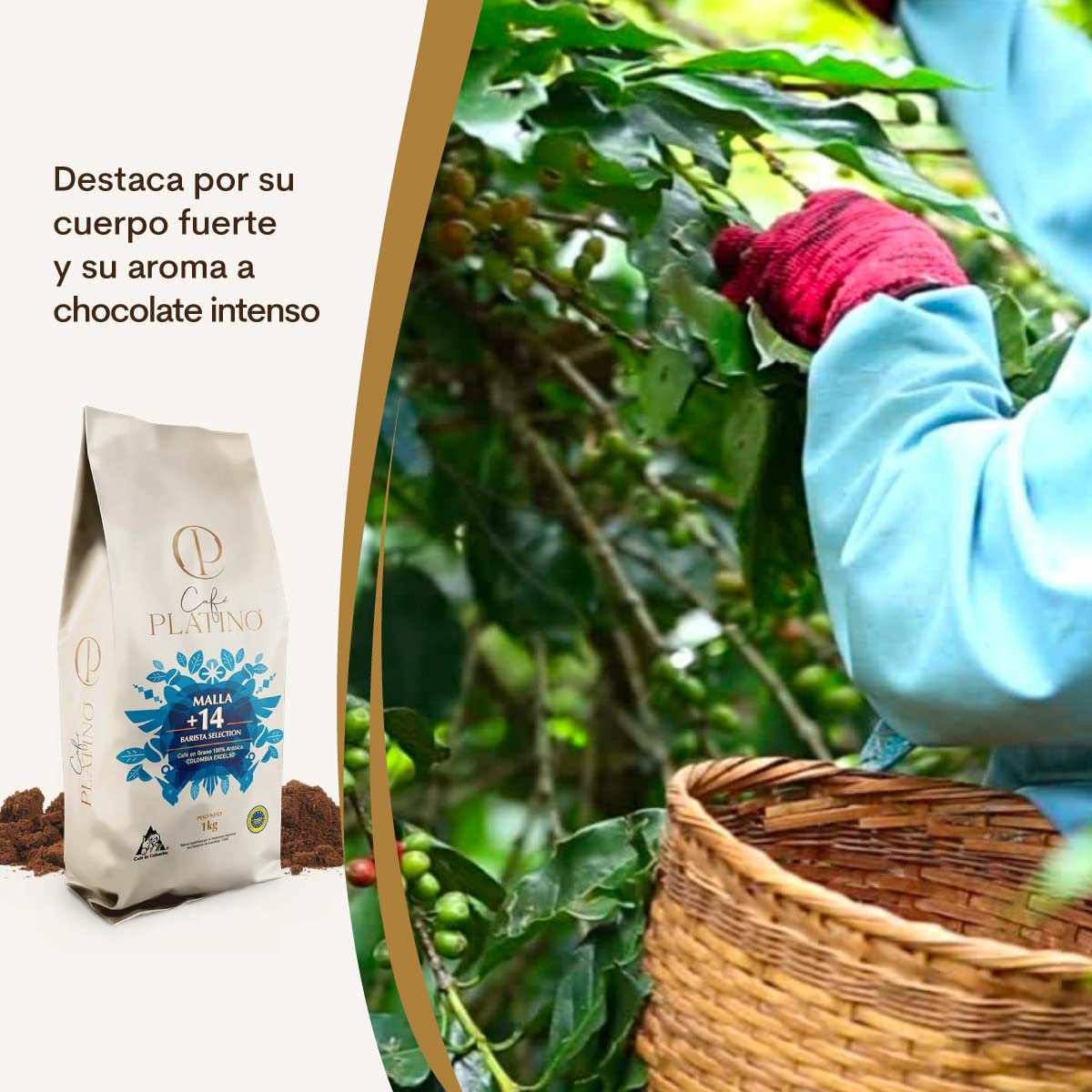 Café Platino - Café Descafeinado Molido Colombia Tostado 1Kg - Selección Excelso Certificado por la Federación Nacional de Cafeteros de Colombia - Malla +14